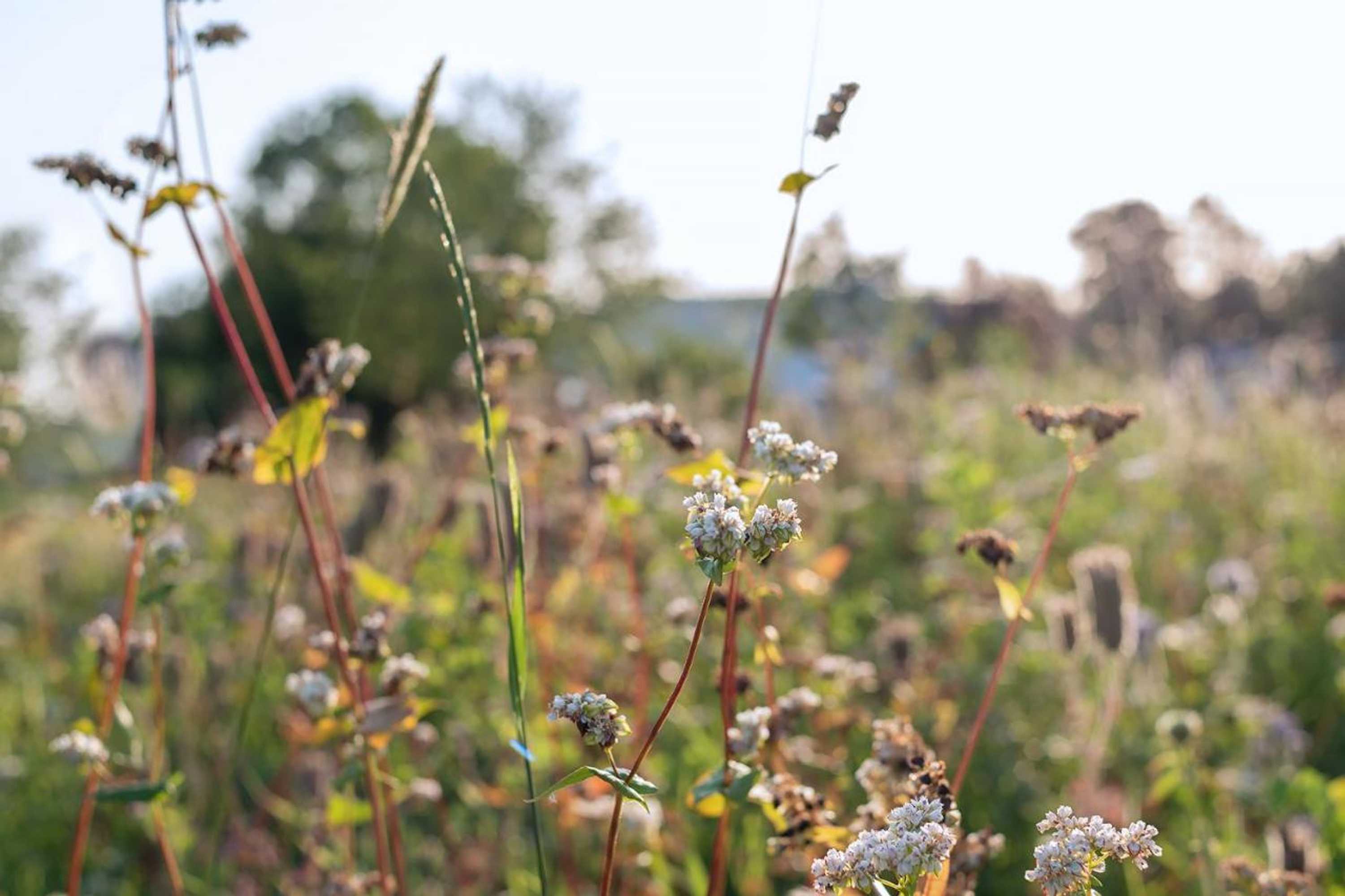 Gift card for Domein Holset Bruisendwijnhuis