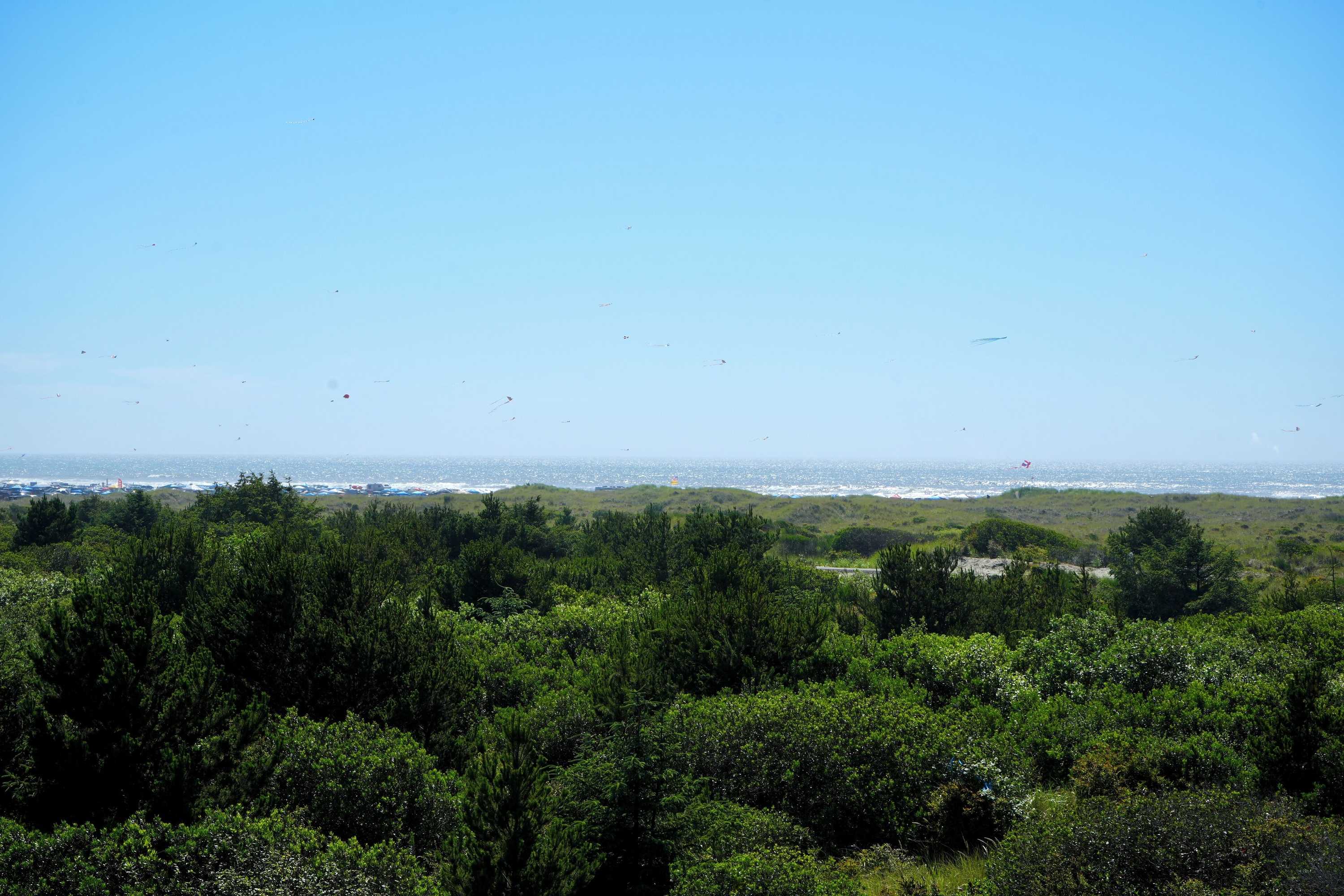 Gift card for Ocean Paradise Hotel & Resort