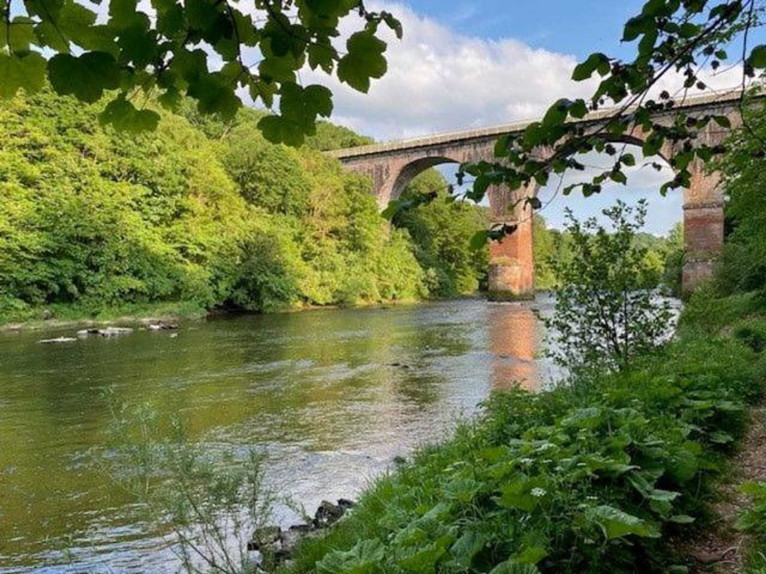 Gift card for Geltsdale Garden Apartment