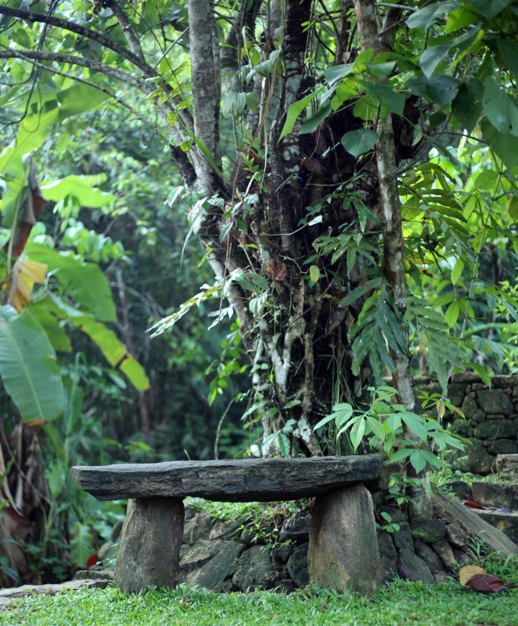 Gift card for Wanakaset