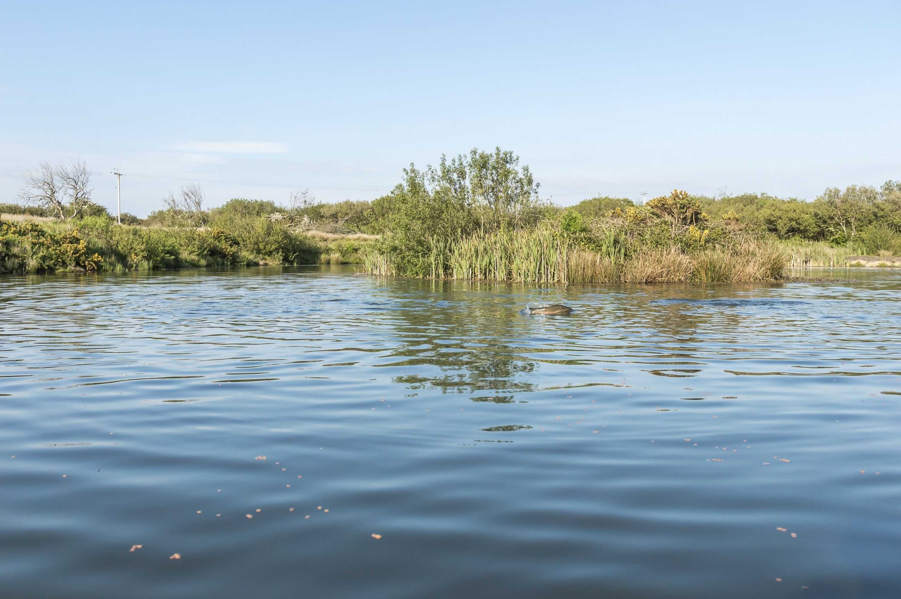 Gift card for Fern Cottage - 1 Bedroom - Tiers Cross