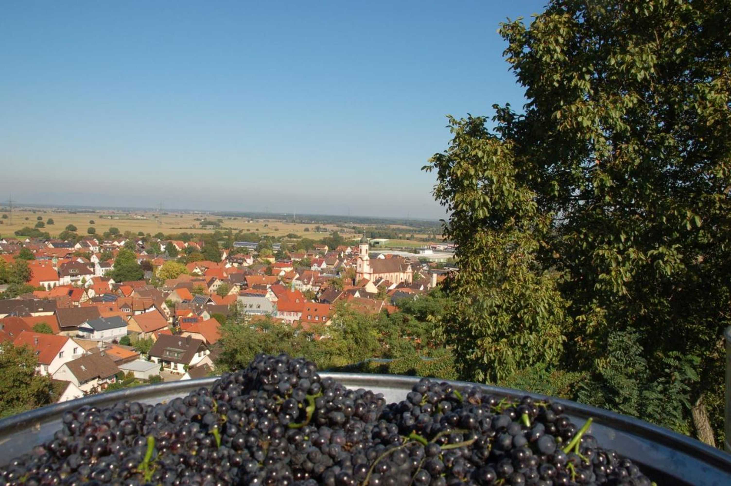 Gift card for Hotel Riegeler Hof