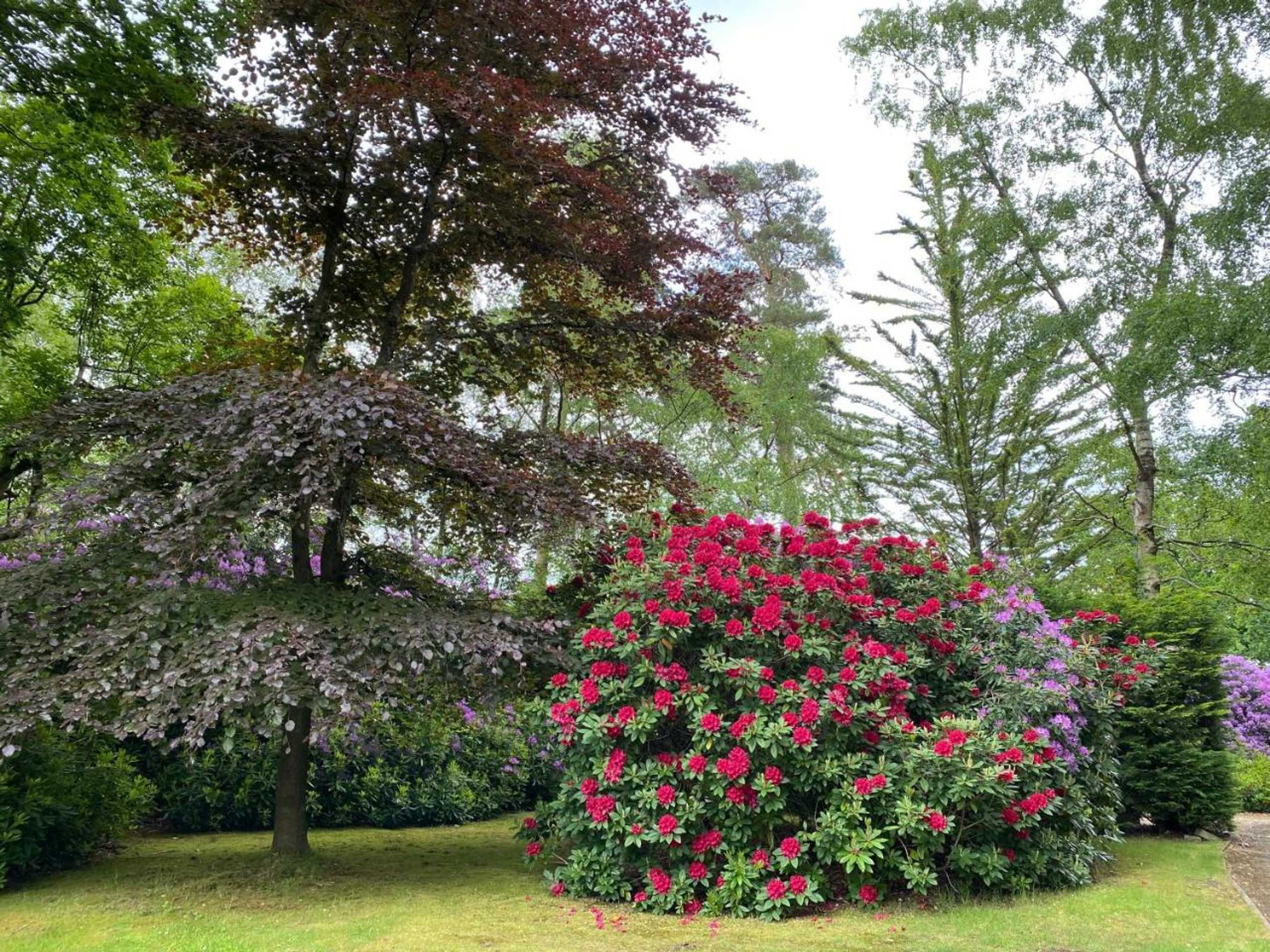 Gift card for Birchcroft - Hideaway