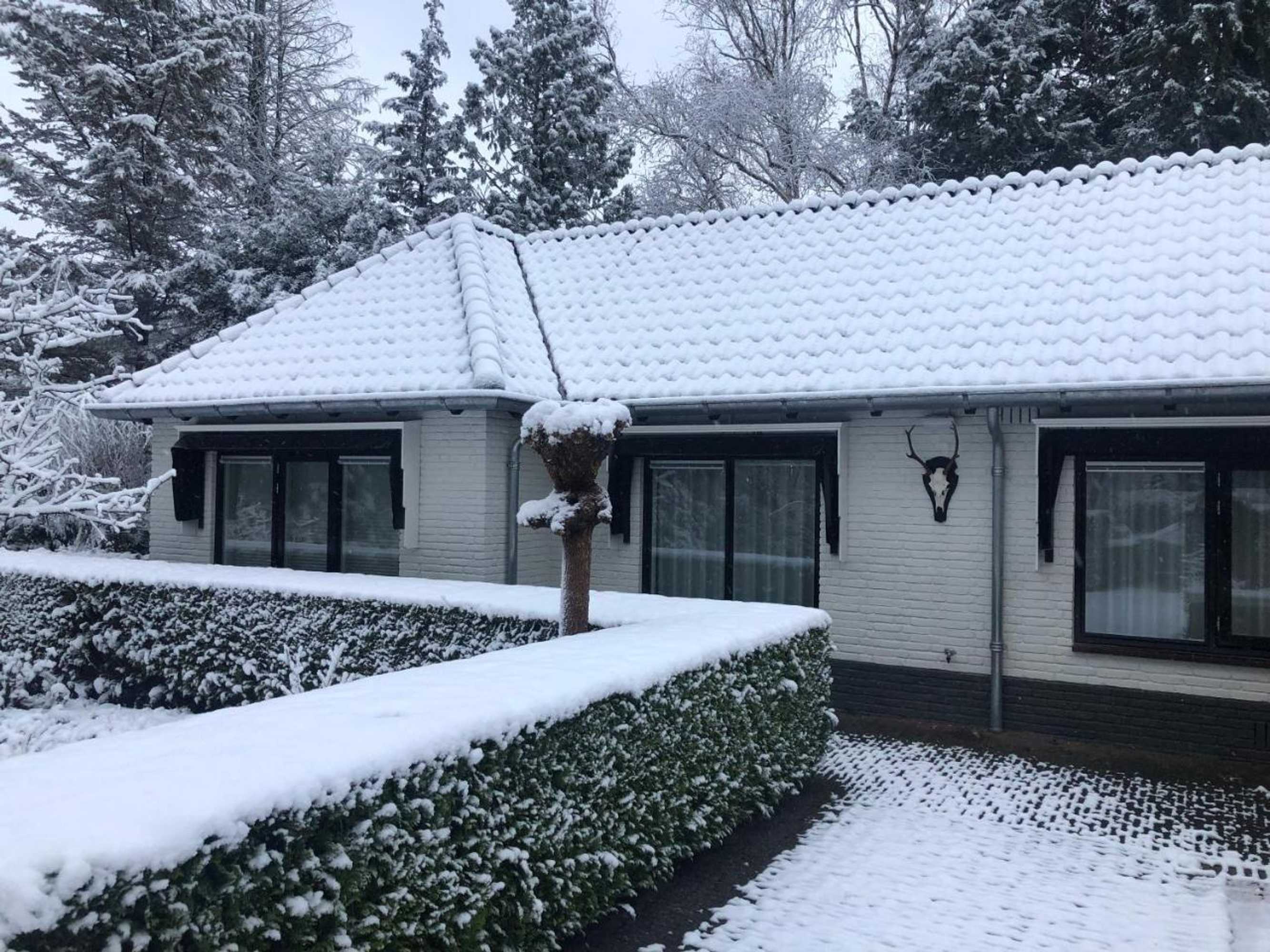 Gift card for Modern Palace B&b Emma Staete