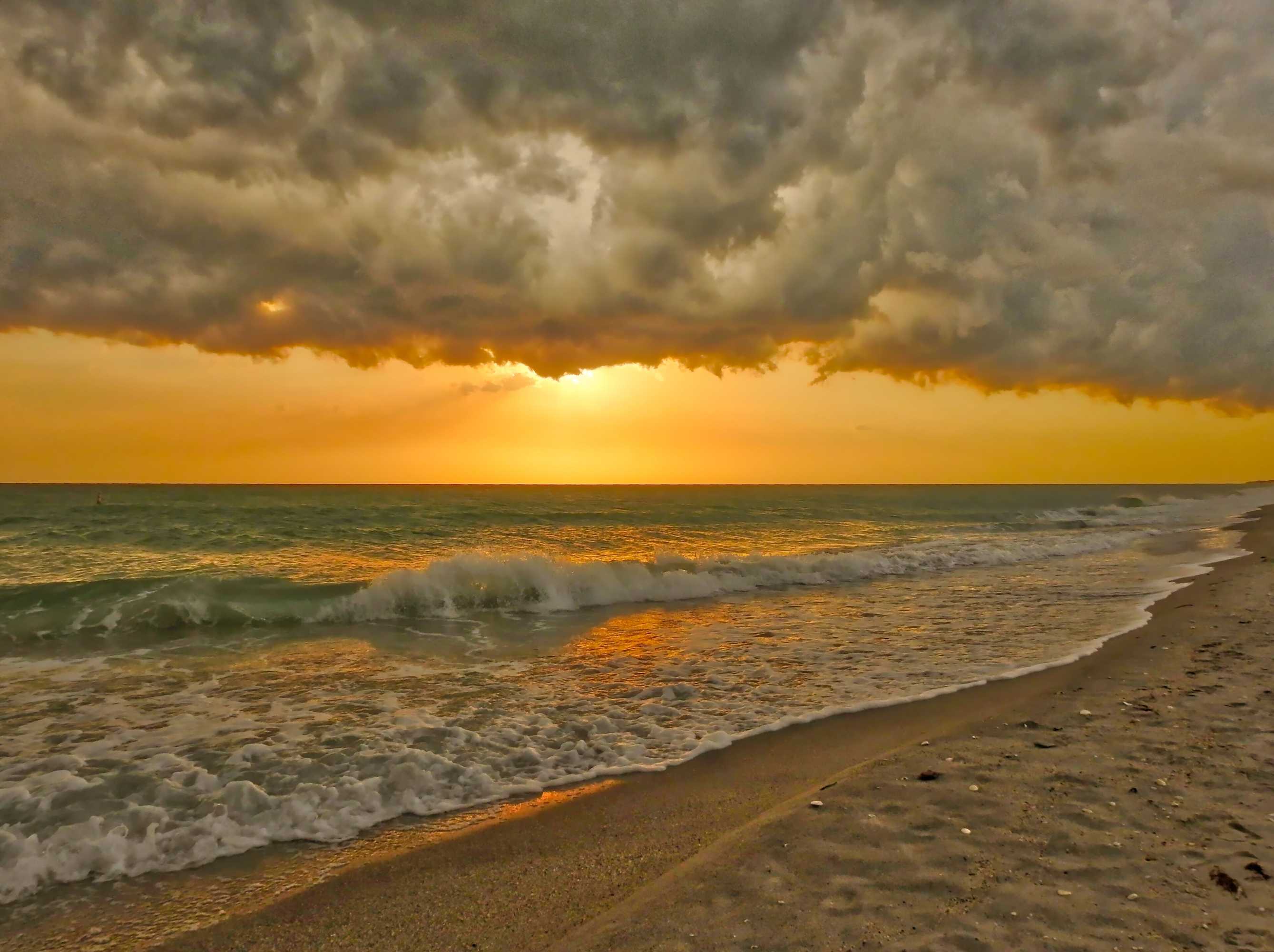 Gift card for Casey Key Resorts - Beachfront Gift card for Casey Key Resorts - Beachfront