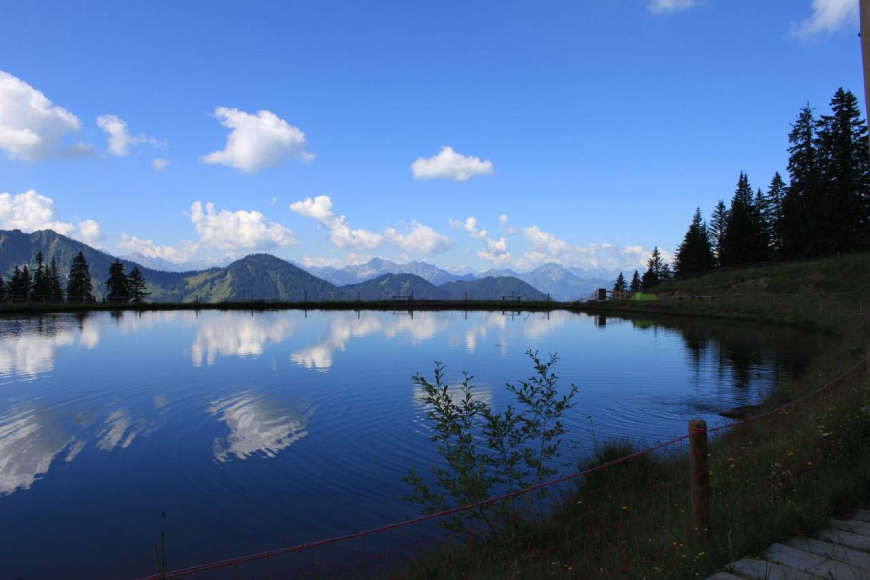 Gift card for Haus Matt