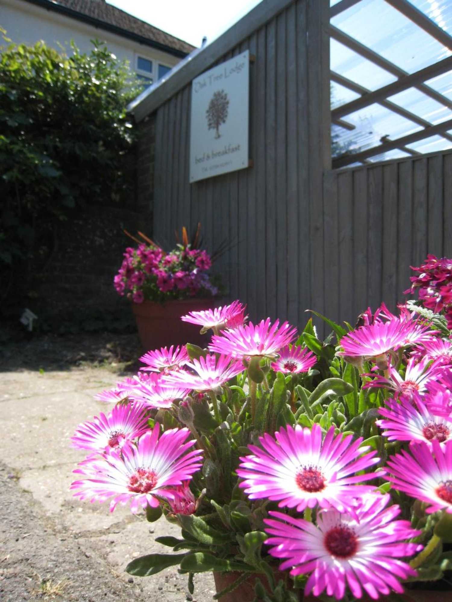 Gift card for Oak Tree Lodge