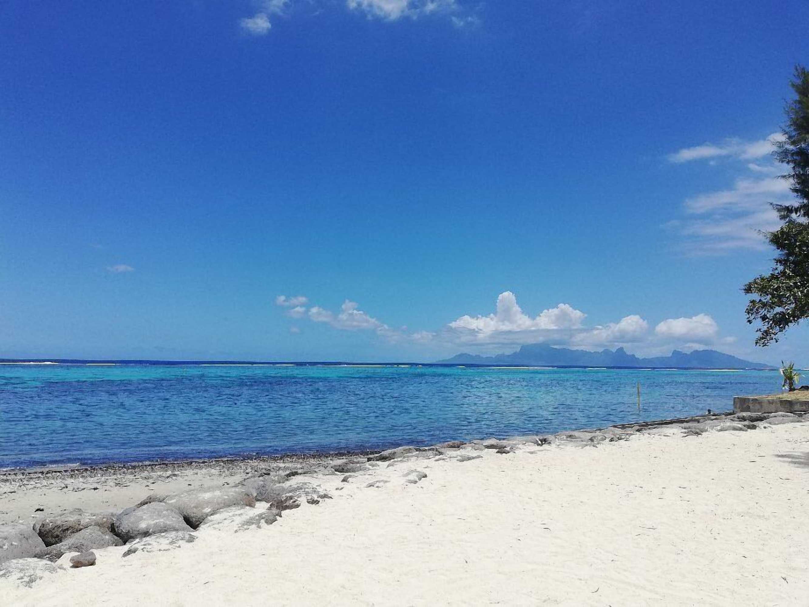 Gift card for Pension TE Miti - Plage-Beach 200m - Mahana Parc & Vaiava Beach Pk18 - B&b Chambres ou Dortoir Gift card for Pension TE Miti - Plage-Beach 200m - Mahana Parc & Vaiava Beach Pk18 - B&b Chambres ou Dortoir