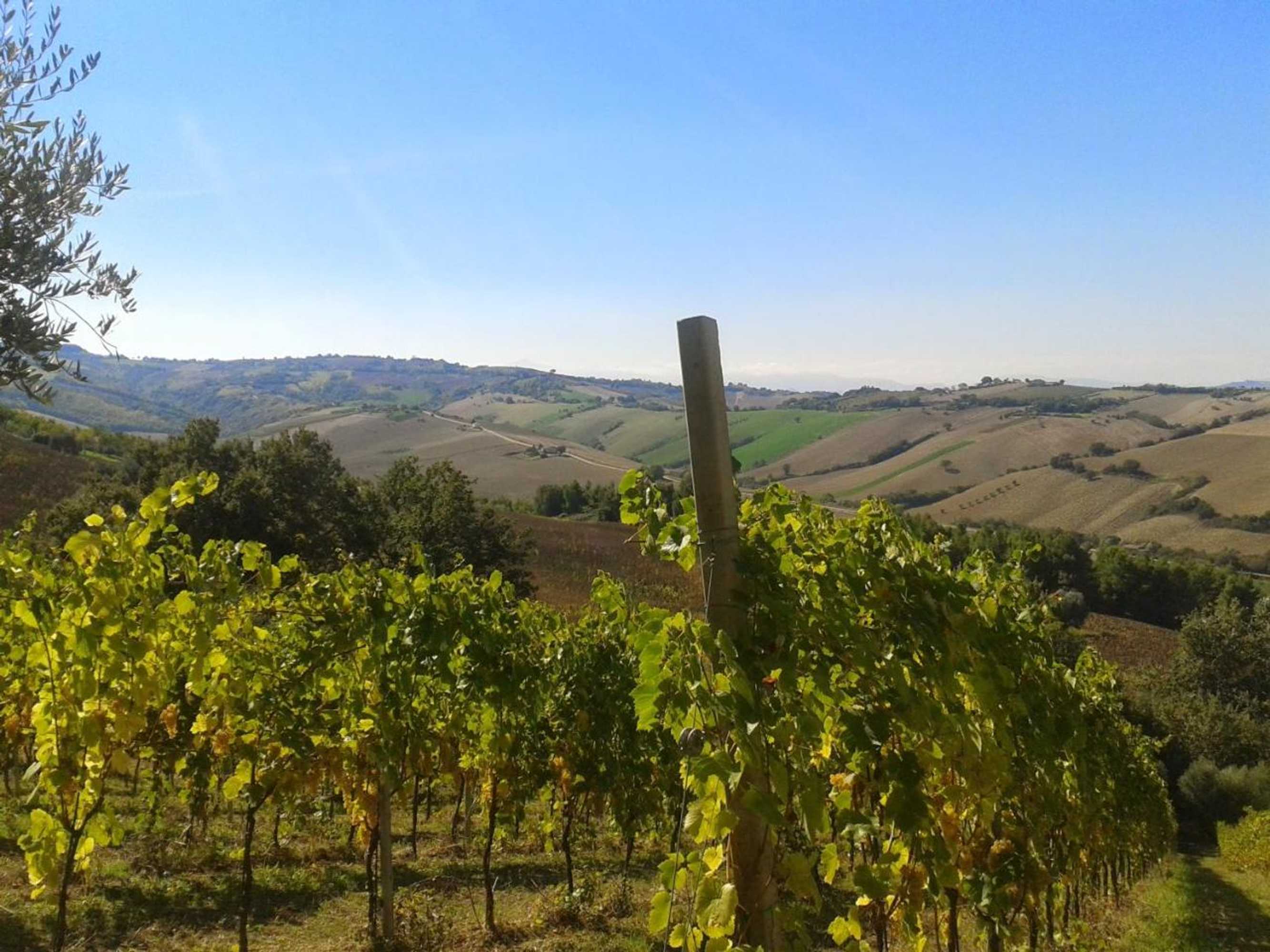 Gift card for Agriturismo Le Vigne