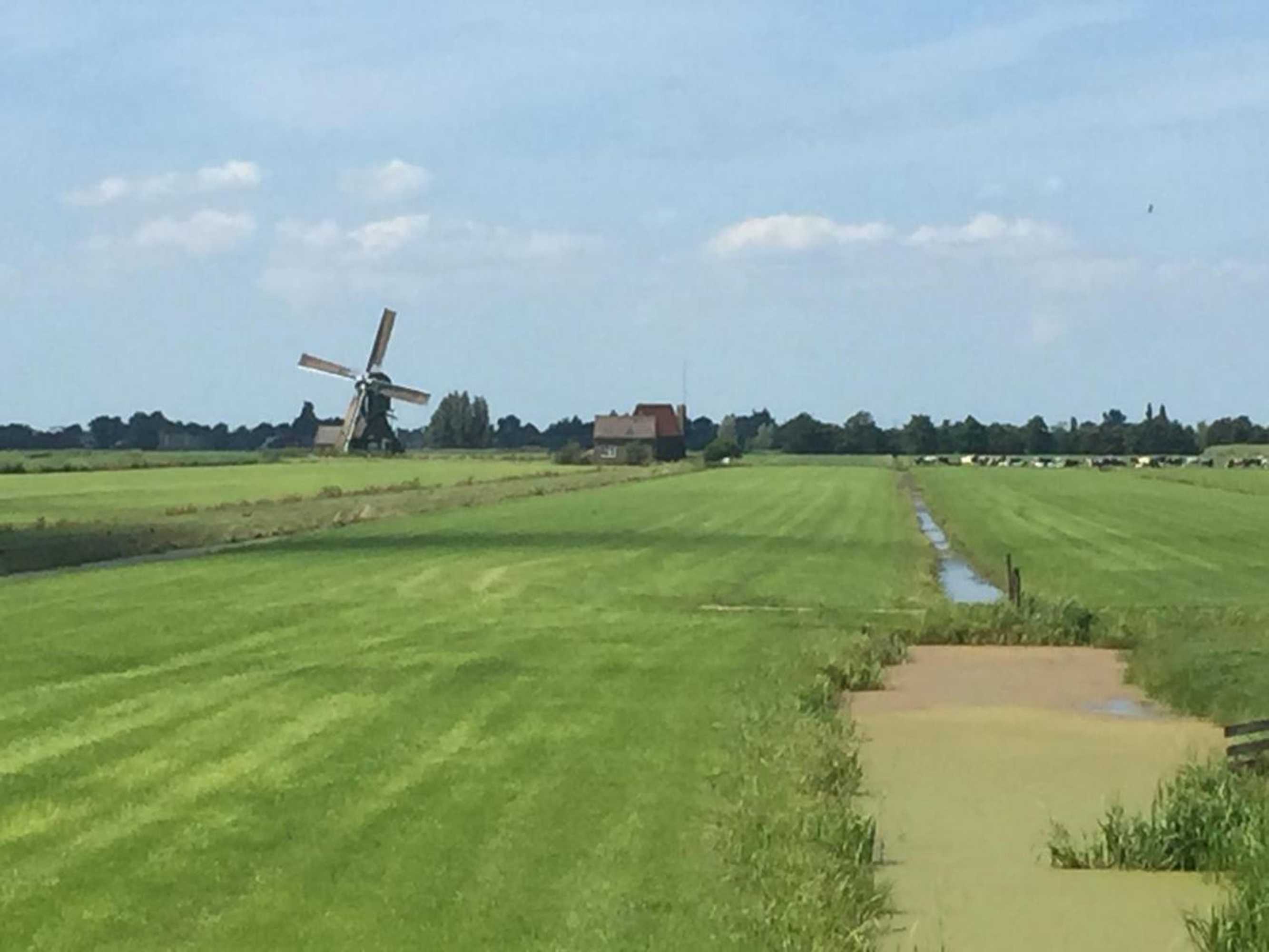 Gift card for Droomgaerd