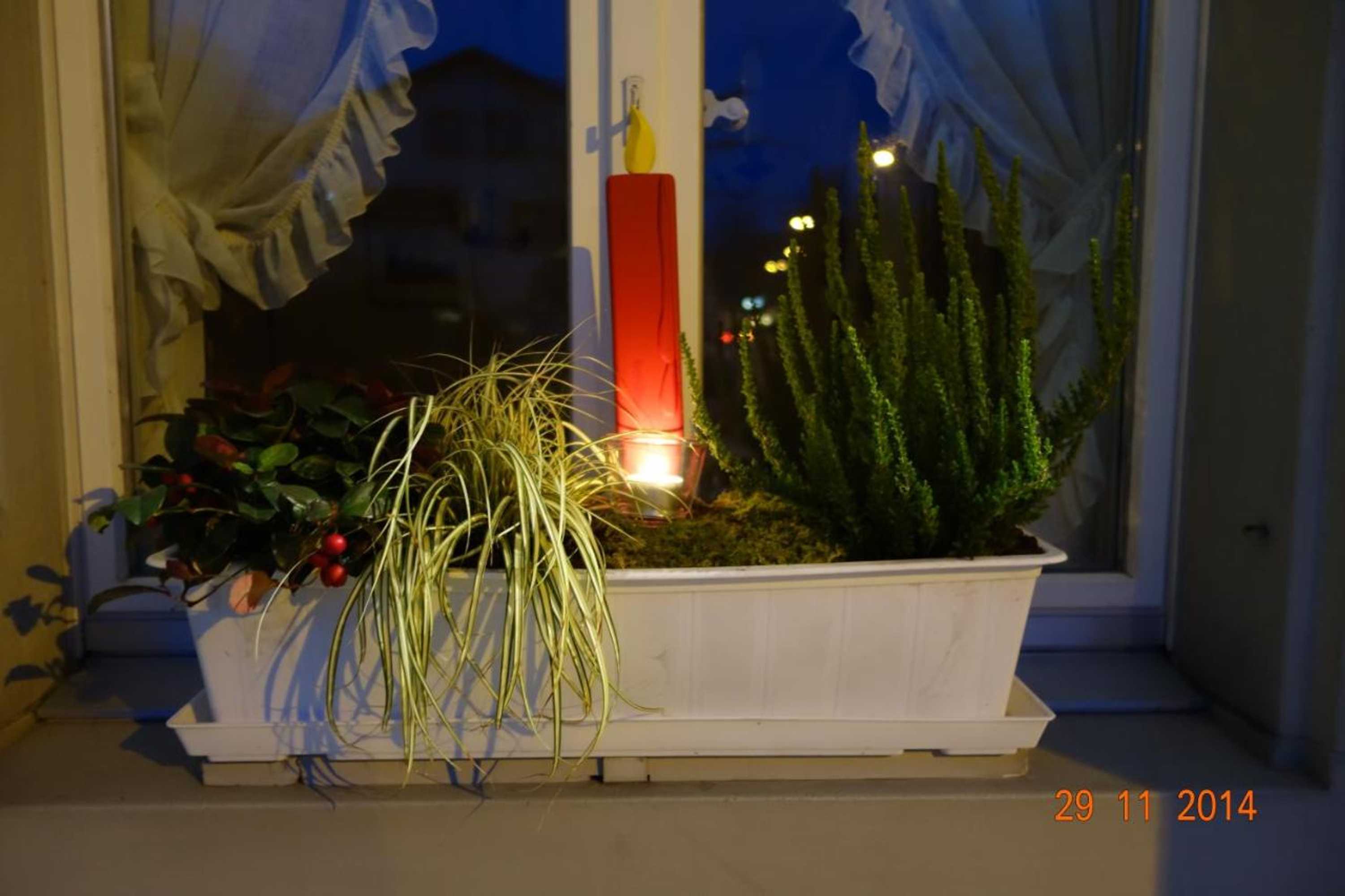 Gift card for Gasthof Löwen