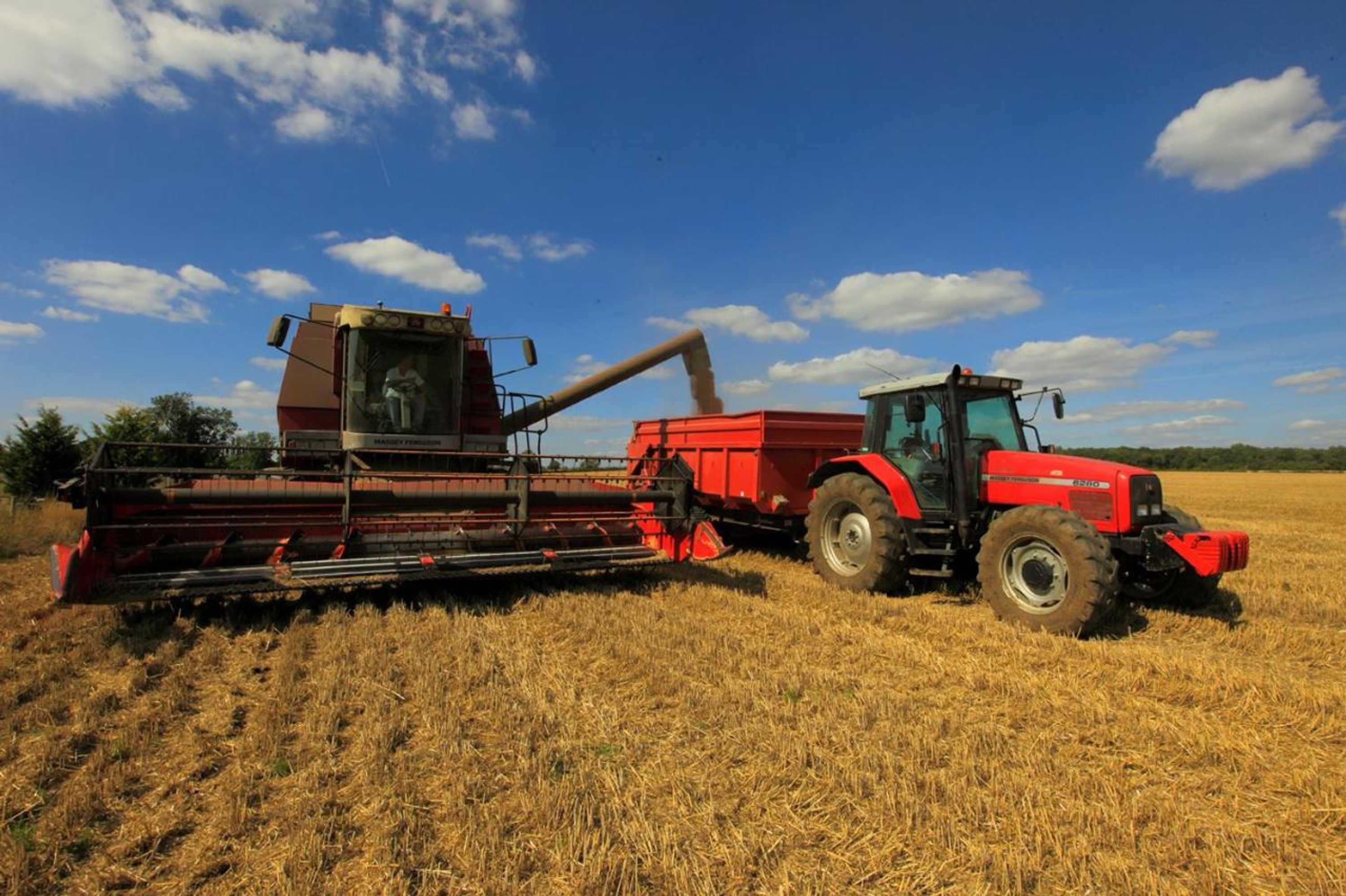 Gift card for Highfield Farm