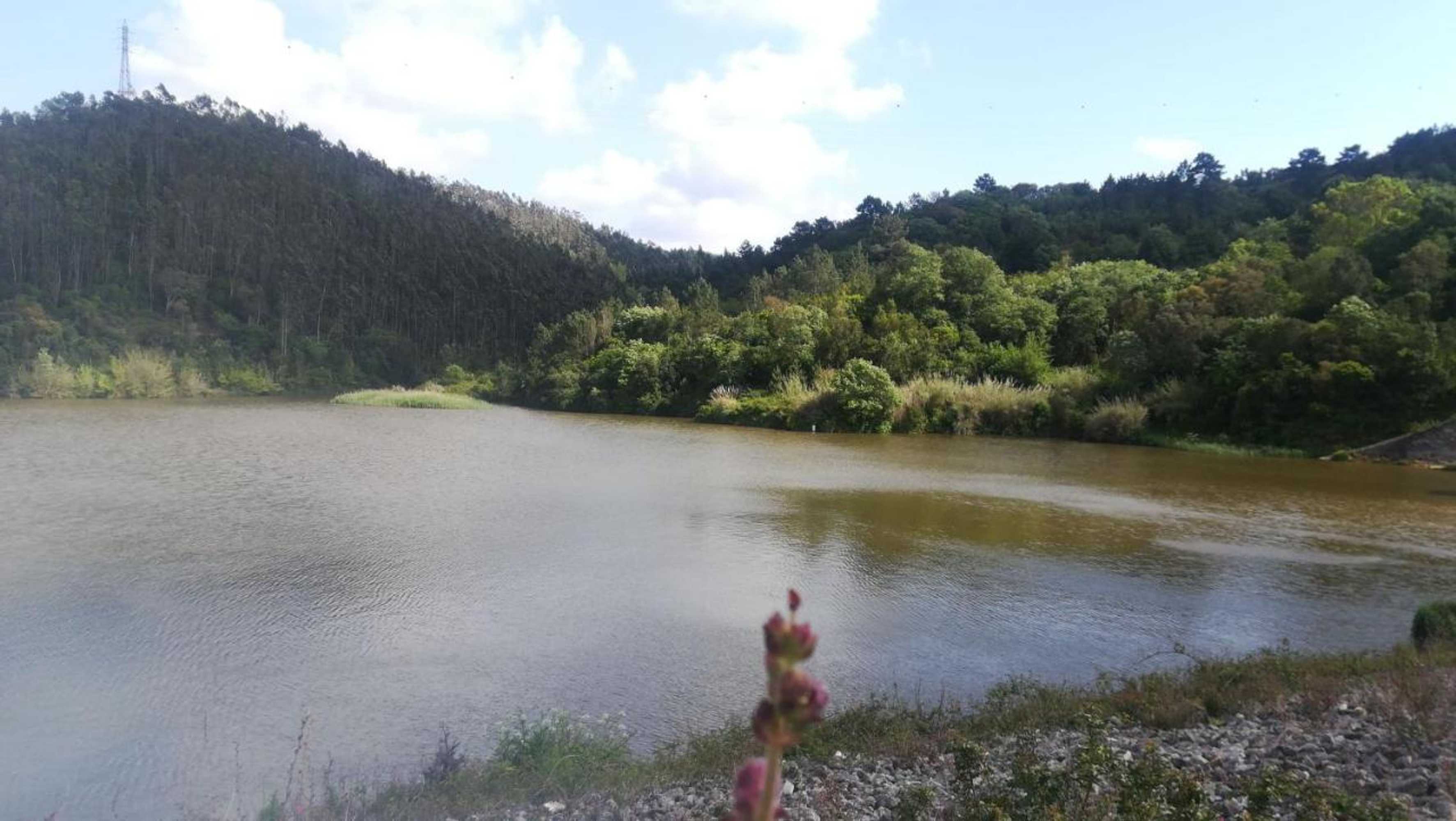 Gift card for Casa Picva