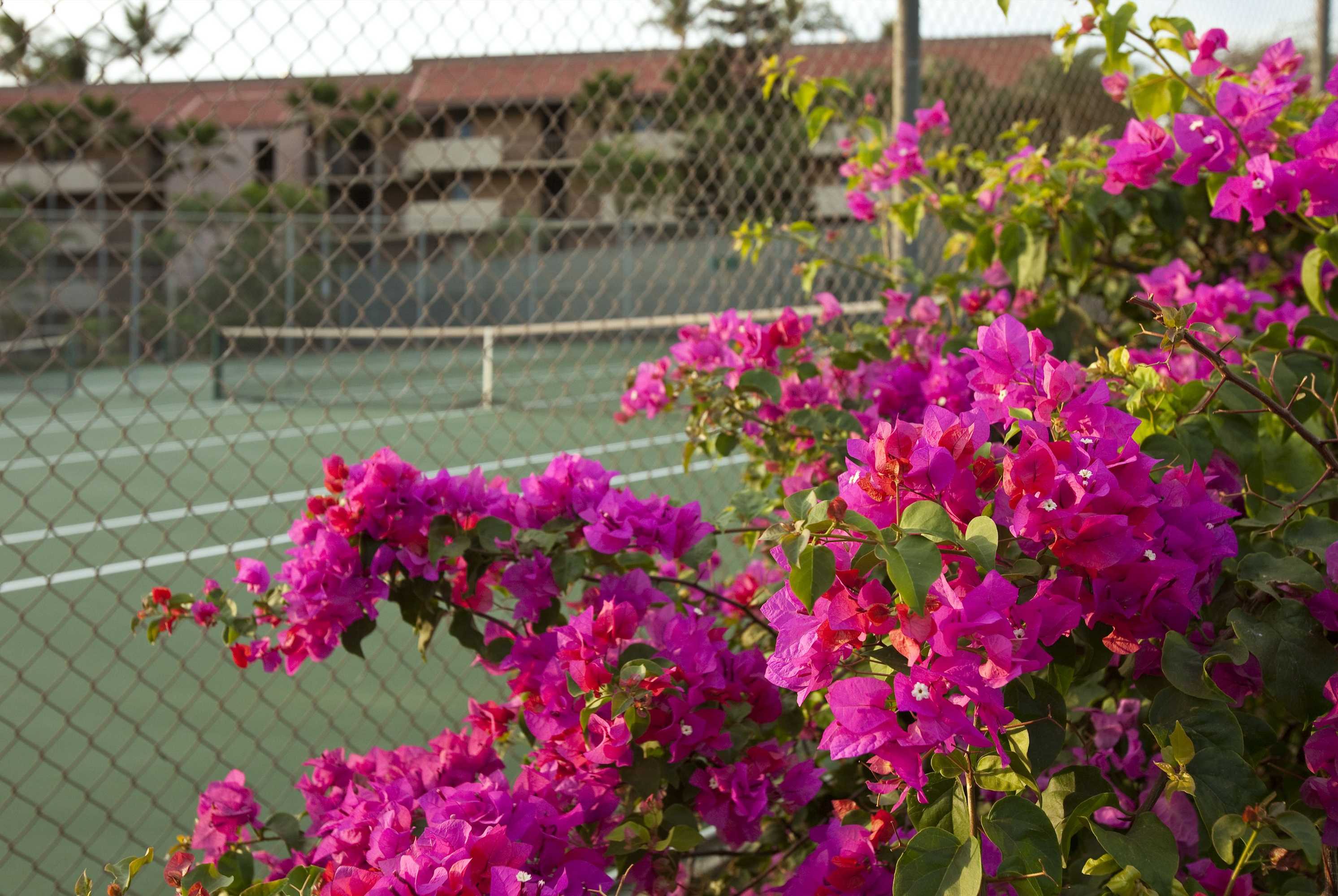 Gift card for Maui Vista – Maui Condo & Home Gift card for Maui Vista – Maui Condo & Home