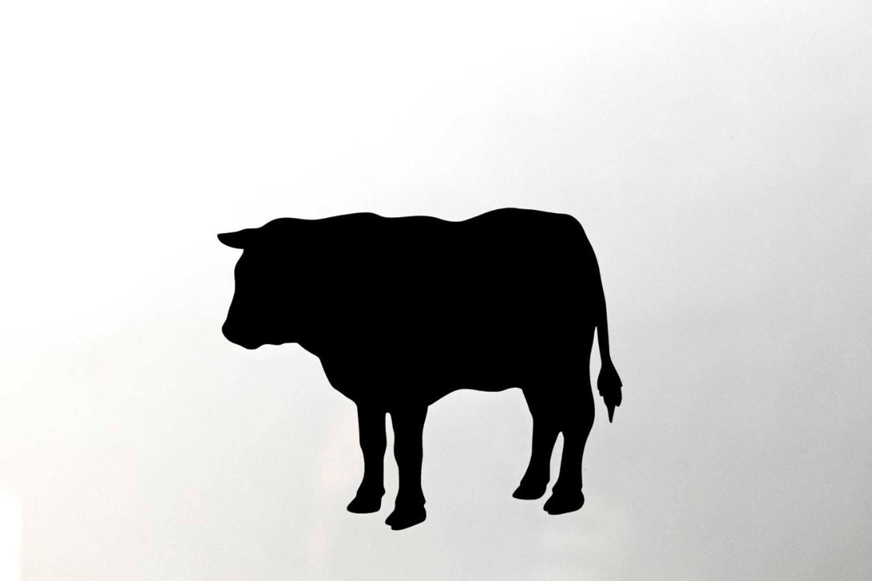 Gift card for Antiga Casa do Boi