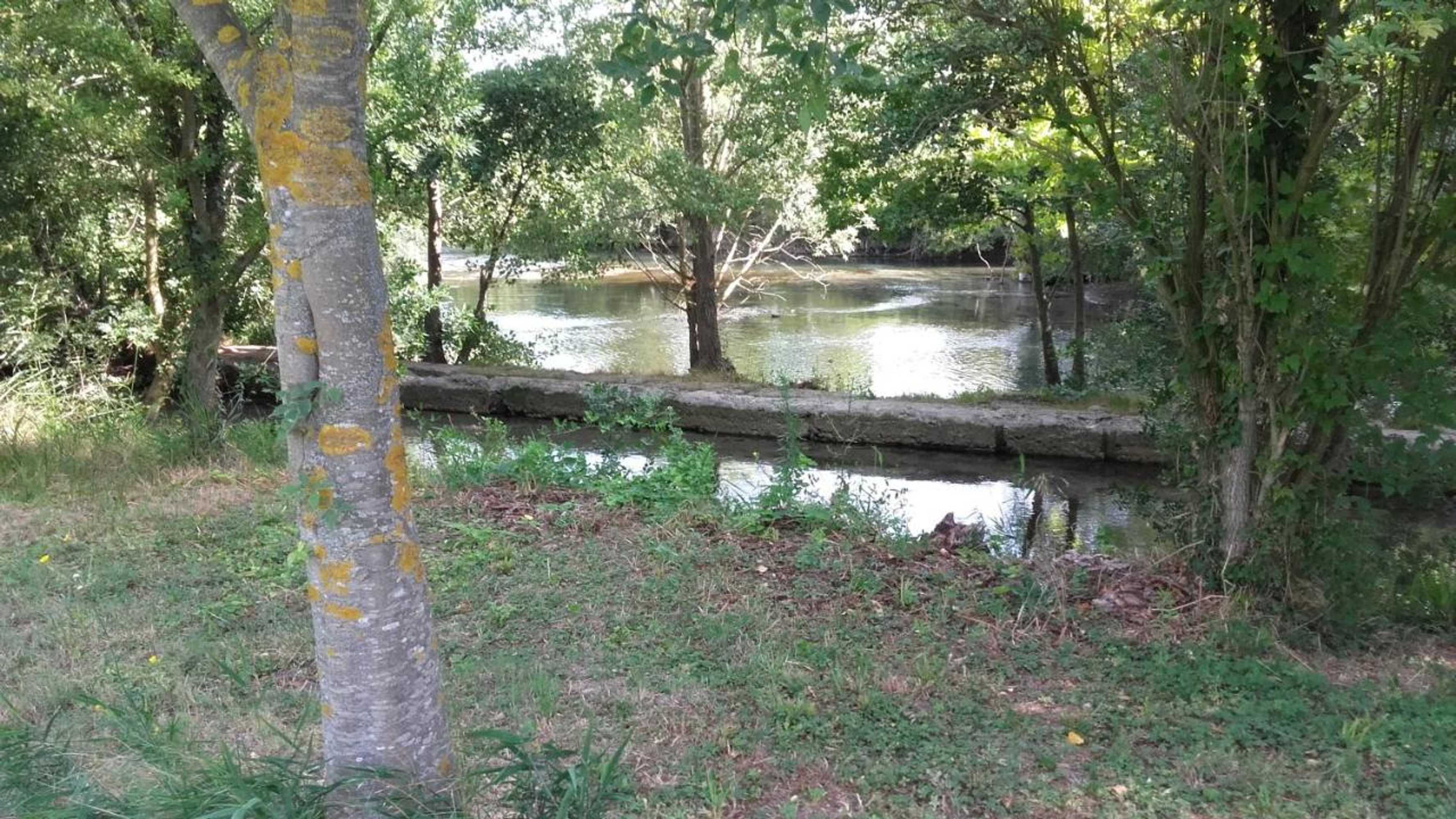 Gift card for Domaine Des Petits Cancets Gift card for Domaine Des Petits Cancets