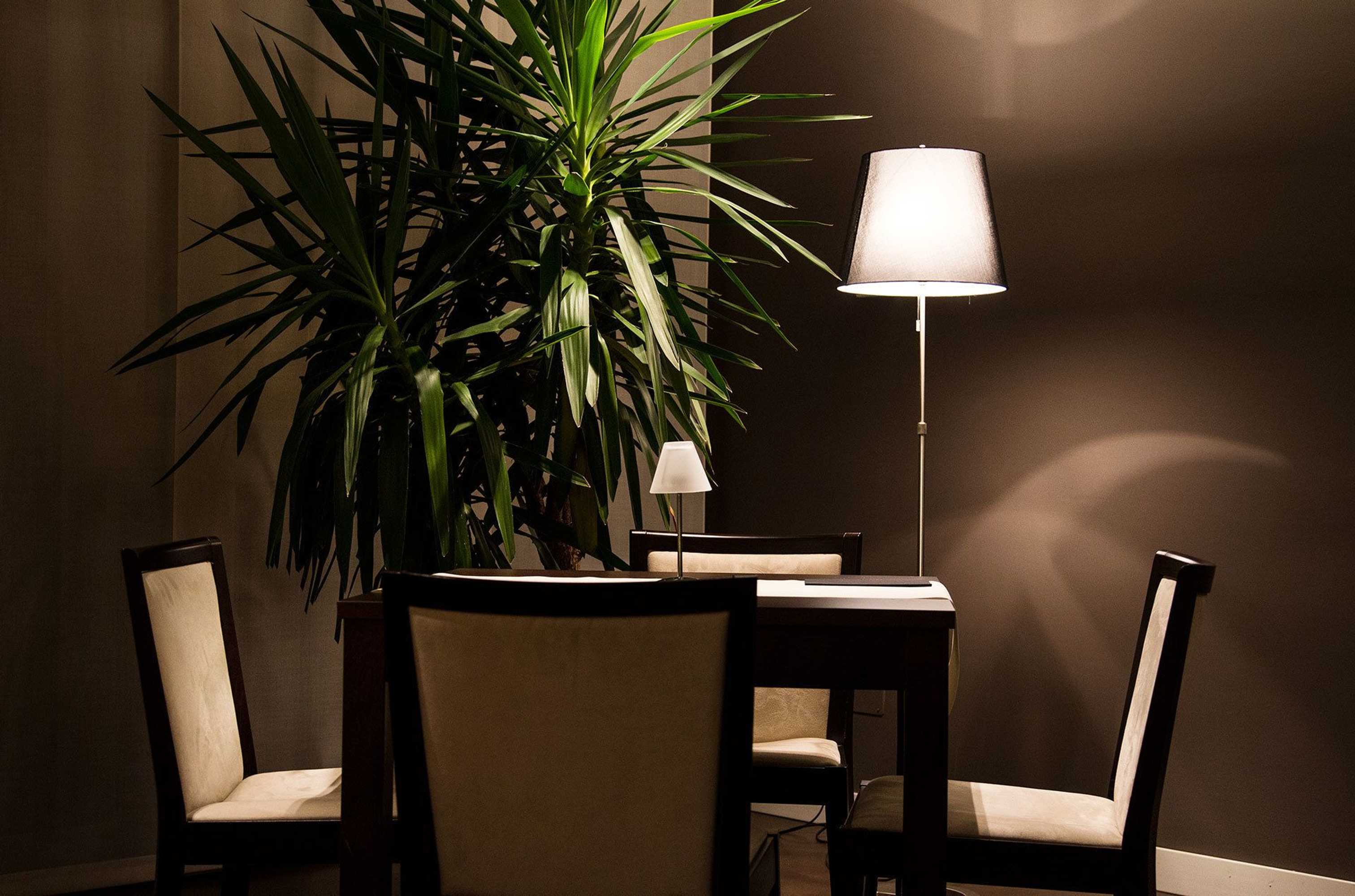 Gift card for Zara Rooms & Suites Gift card for Zara Rooms & Suites
