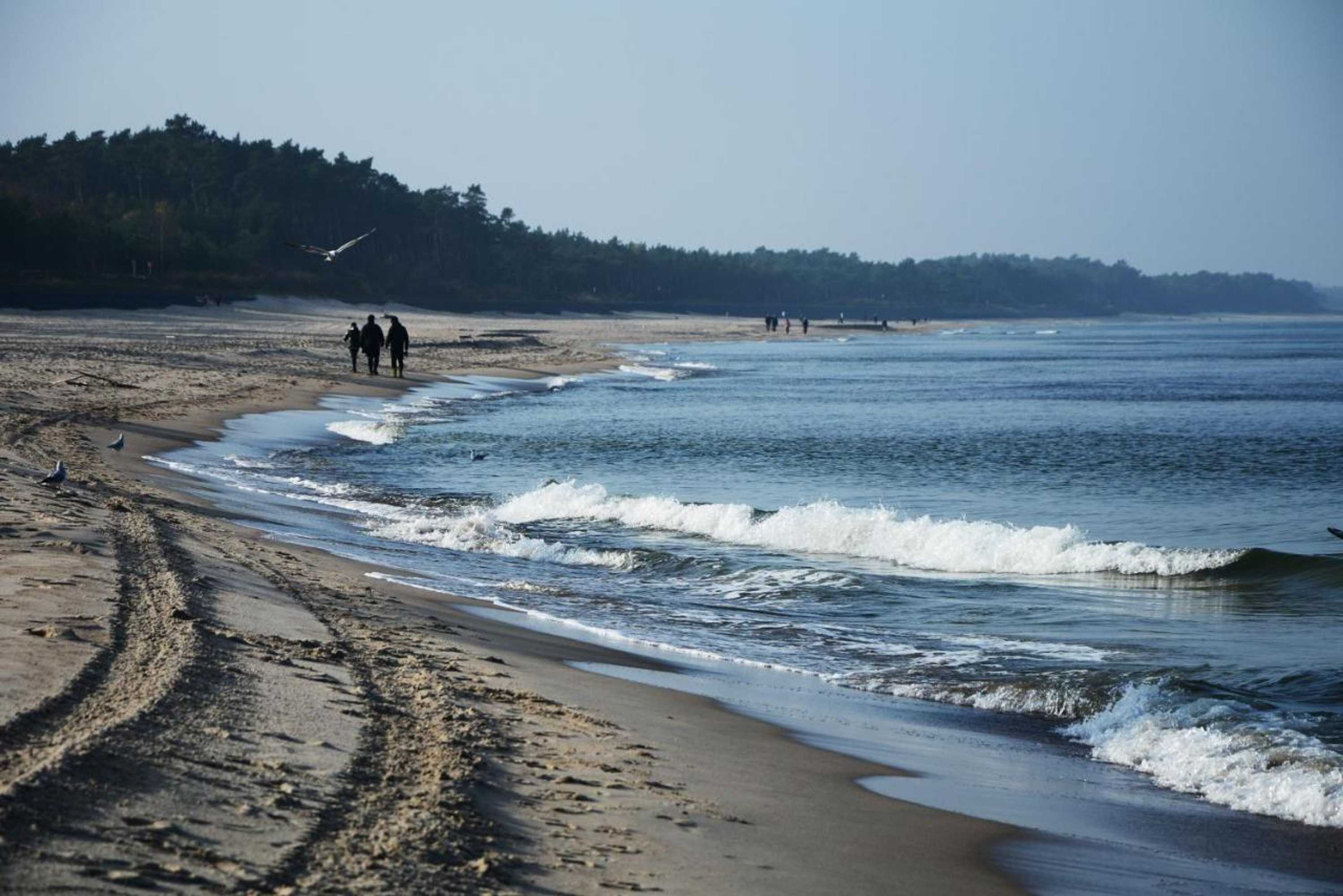 Gift card for Willa Victor