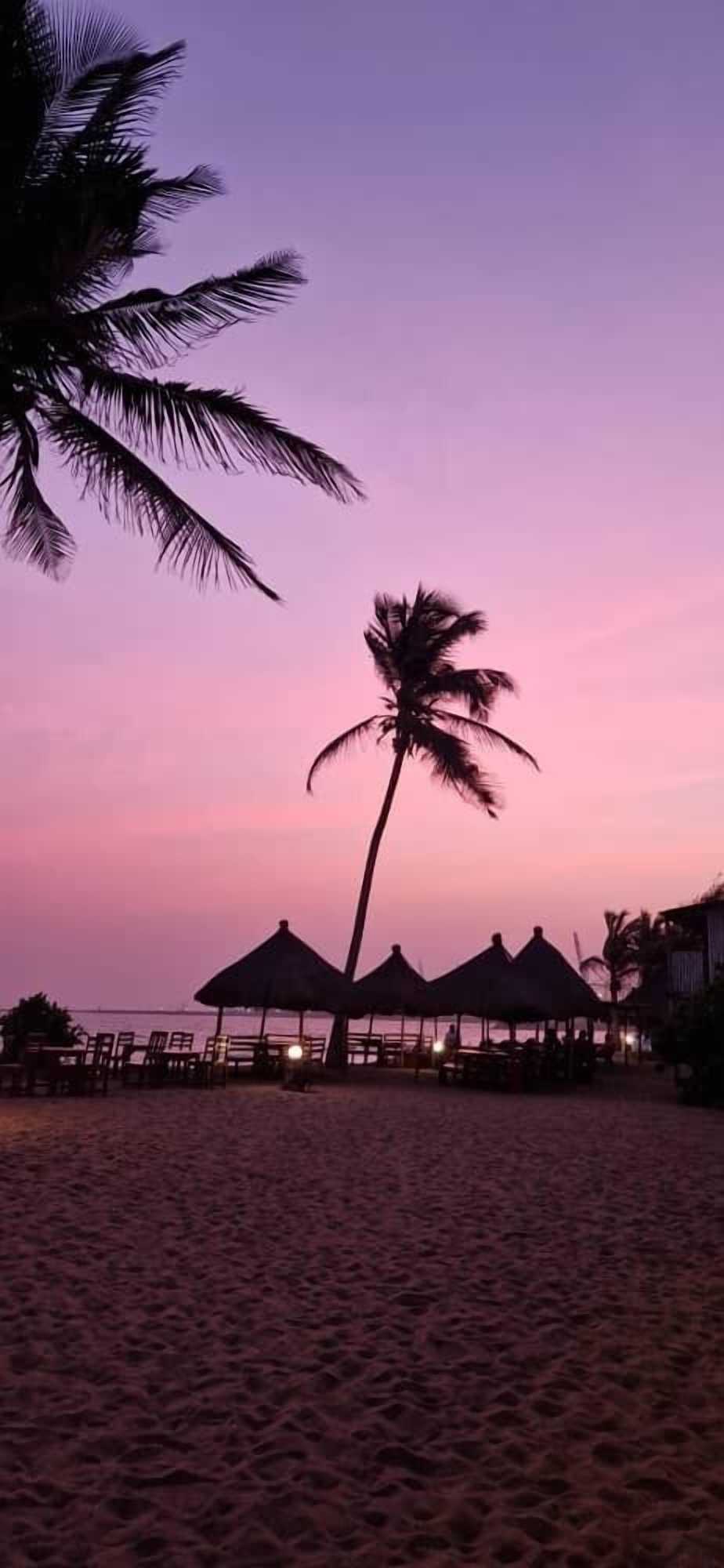 Gift card for New Robinson Plage Gift card for New Robinson Plage