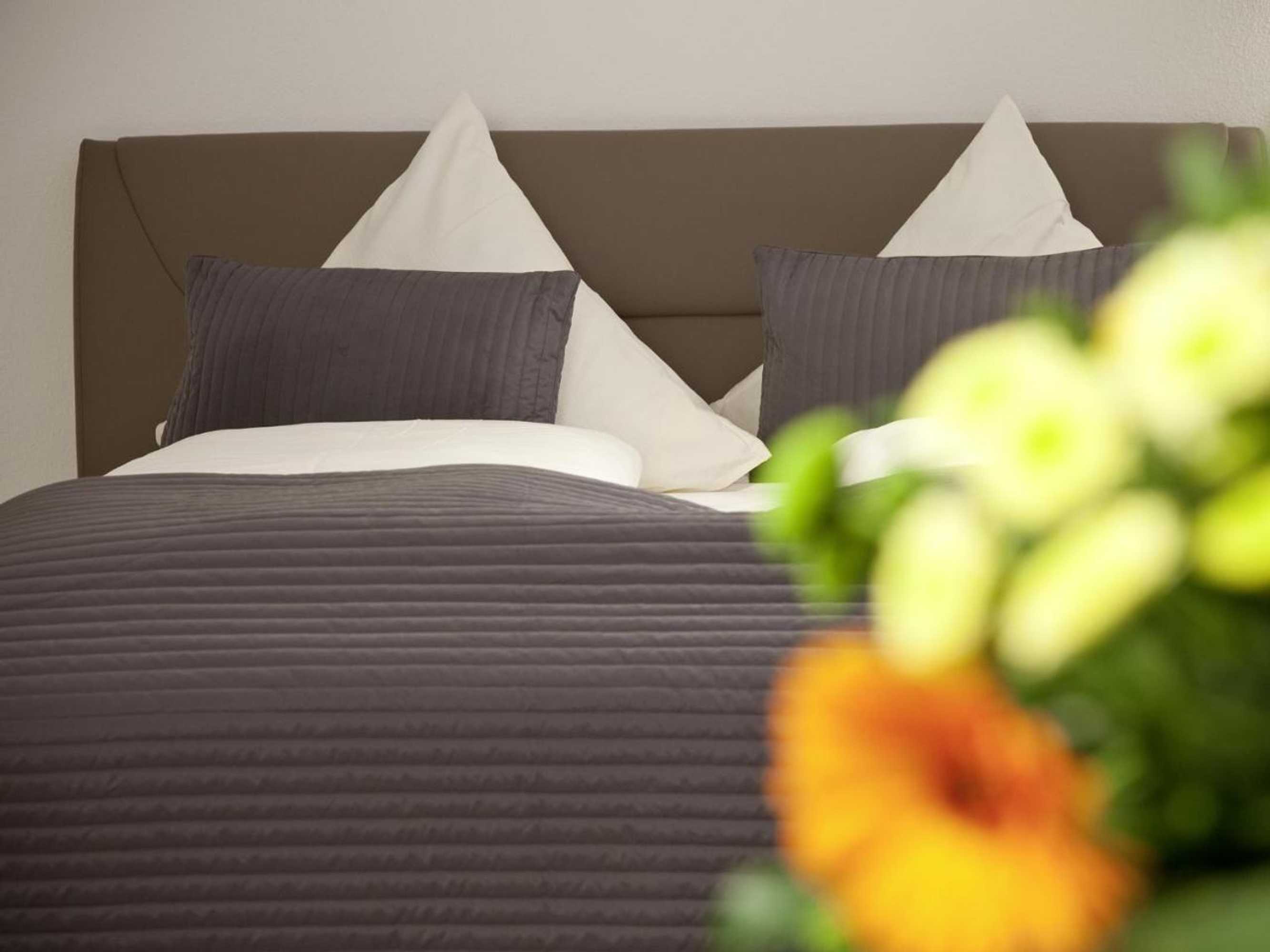 Gift card for Central City Hotel