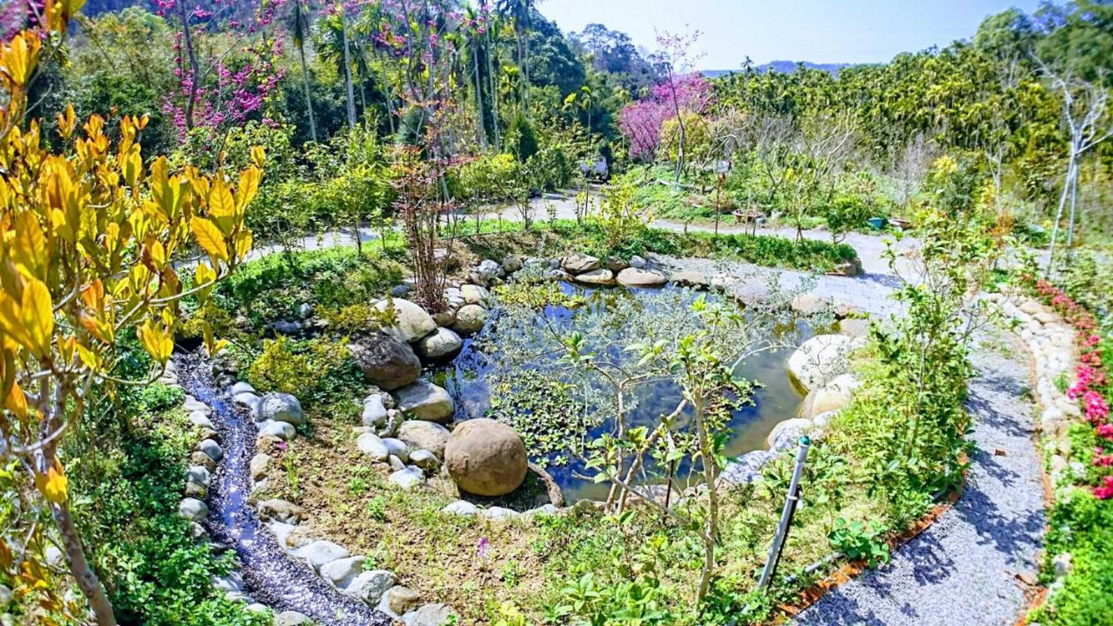 Gift card for Hoka in Sanyi