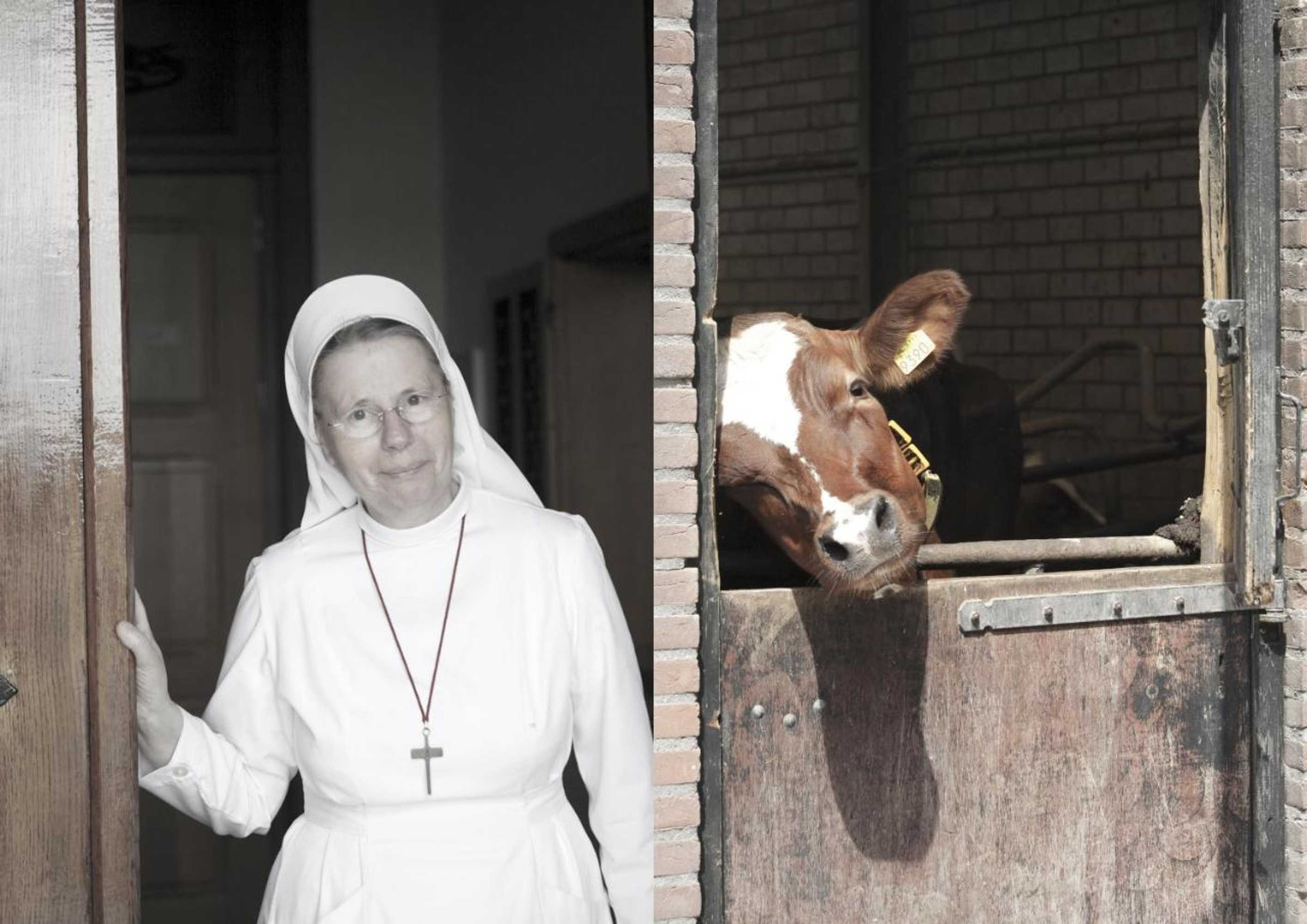 Gift card for Herberg de Brabantse Kluis