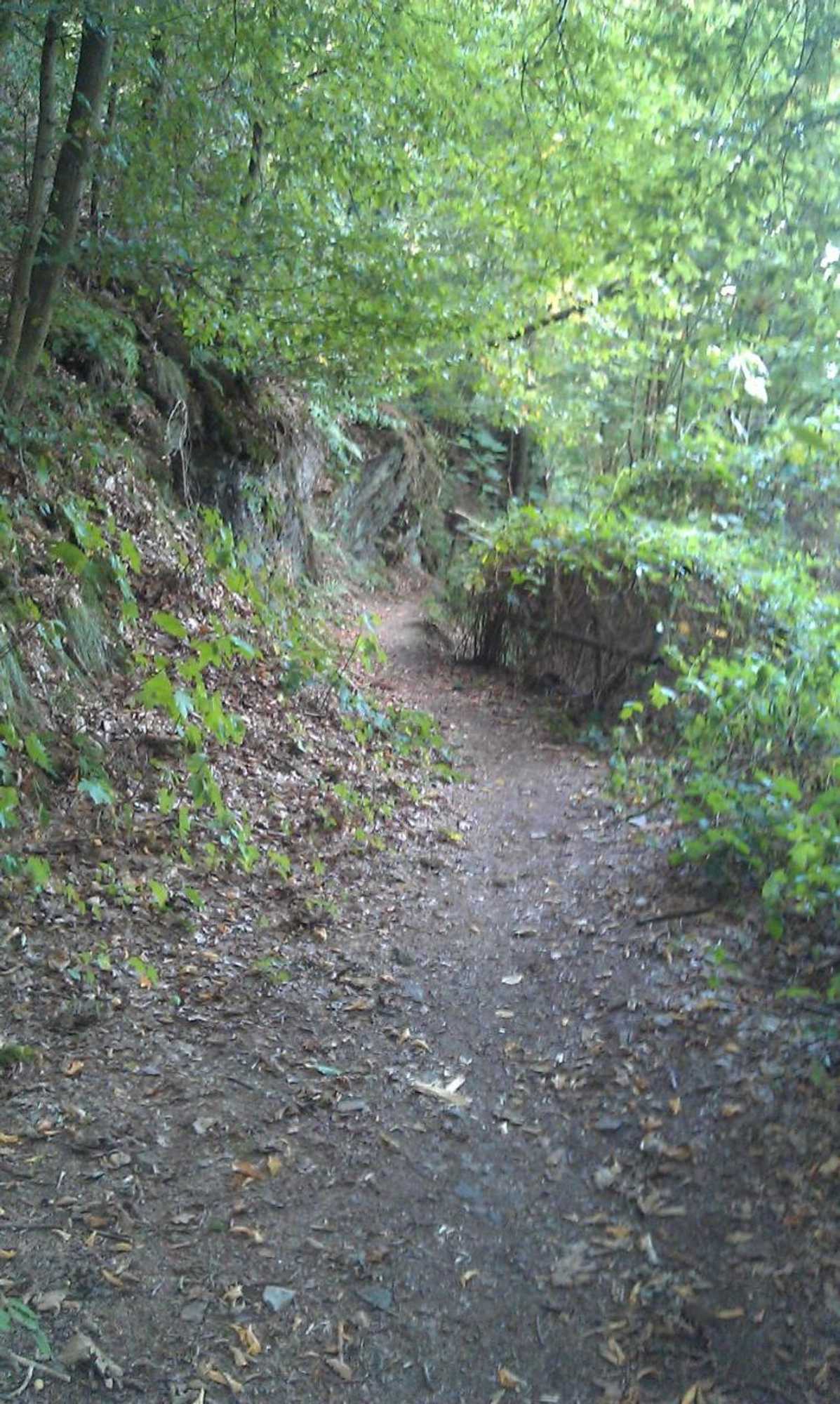 Gift card for Landhaus im Kühlen Grunde Garni