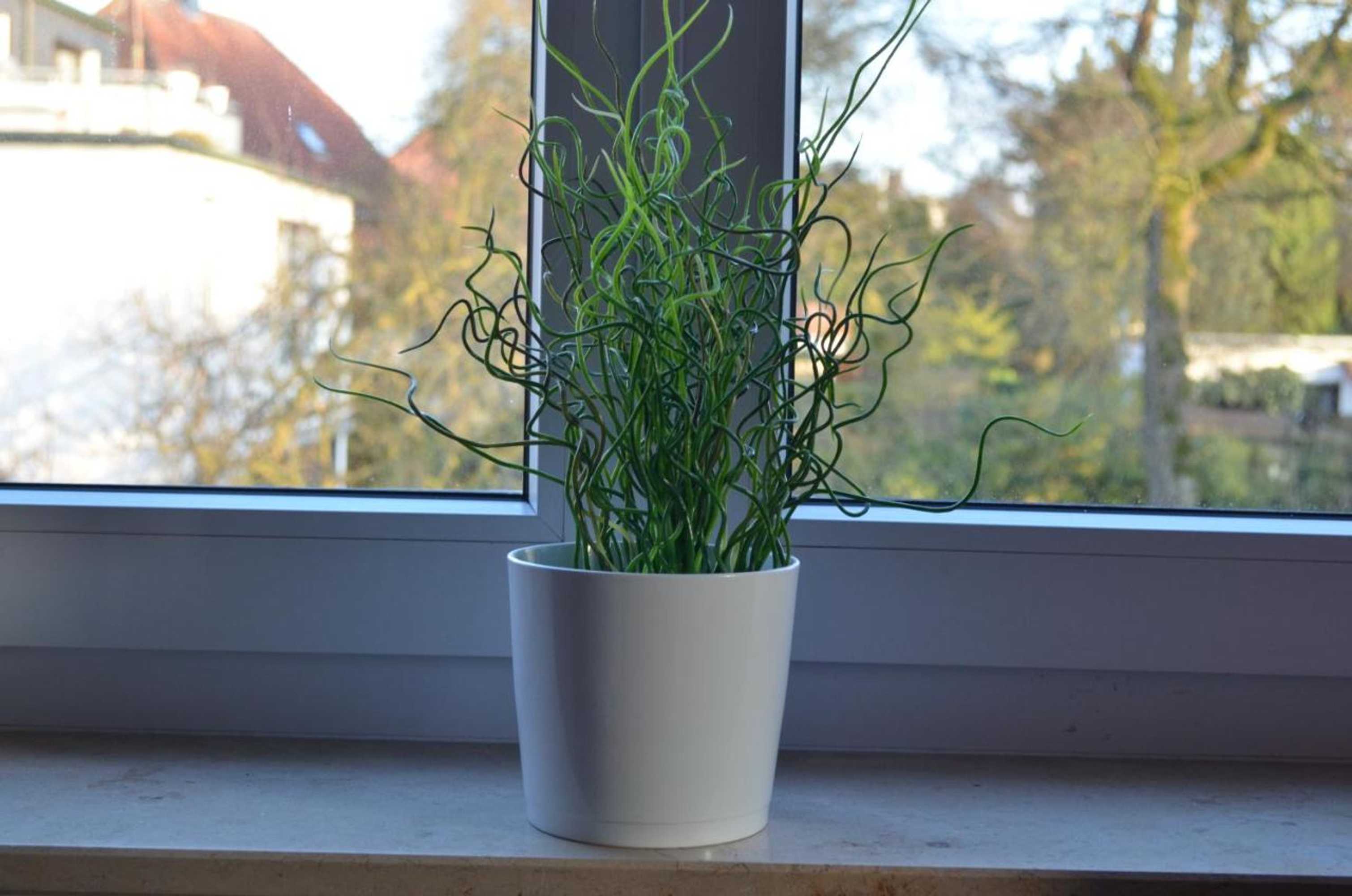 Gift card for Hotel Alter Giebel