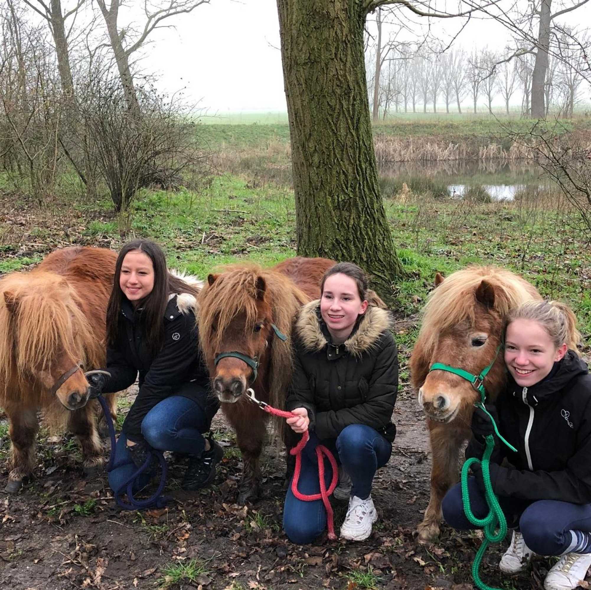 Gift card for Gastenverblijf Het Voorhuis