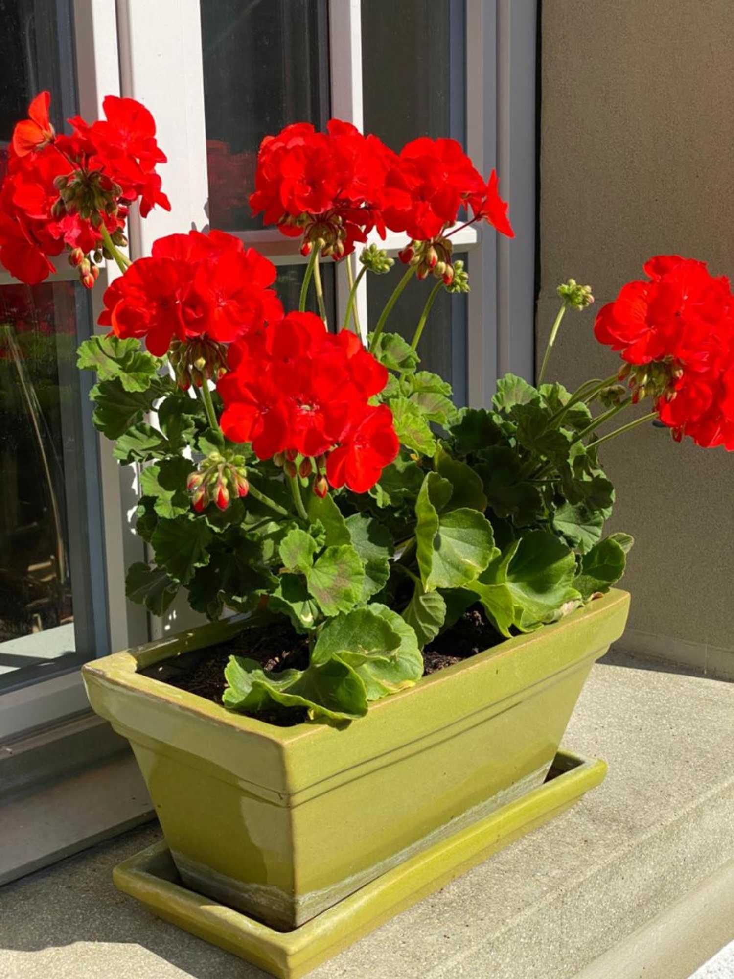 Gift card for B&b Tannen124