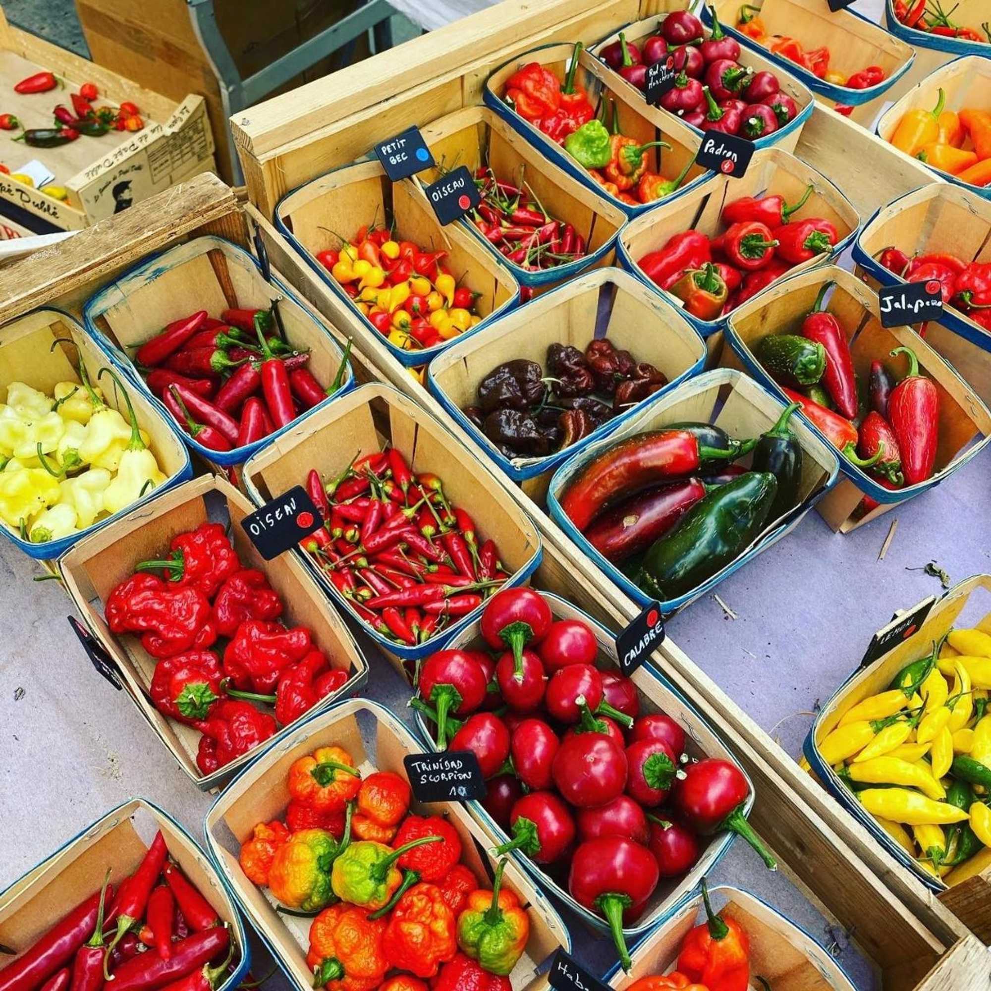 Gift card for Mas La Pauline Gift card for Mas La Pauline