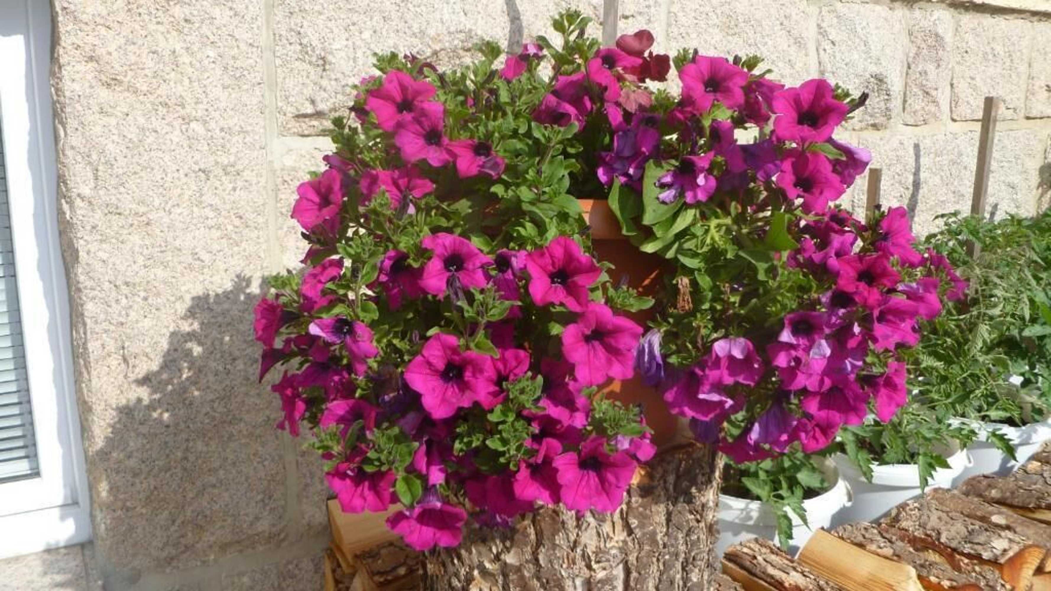 Gift card for Pension Wernesgrün