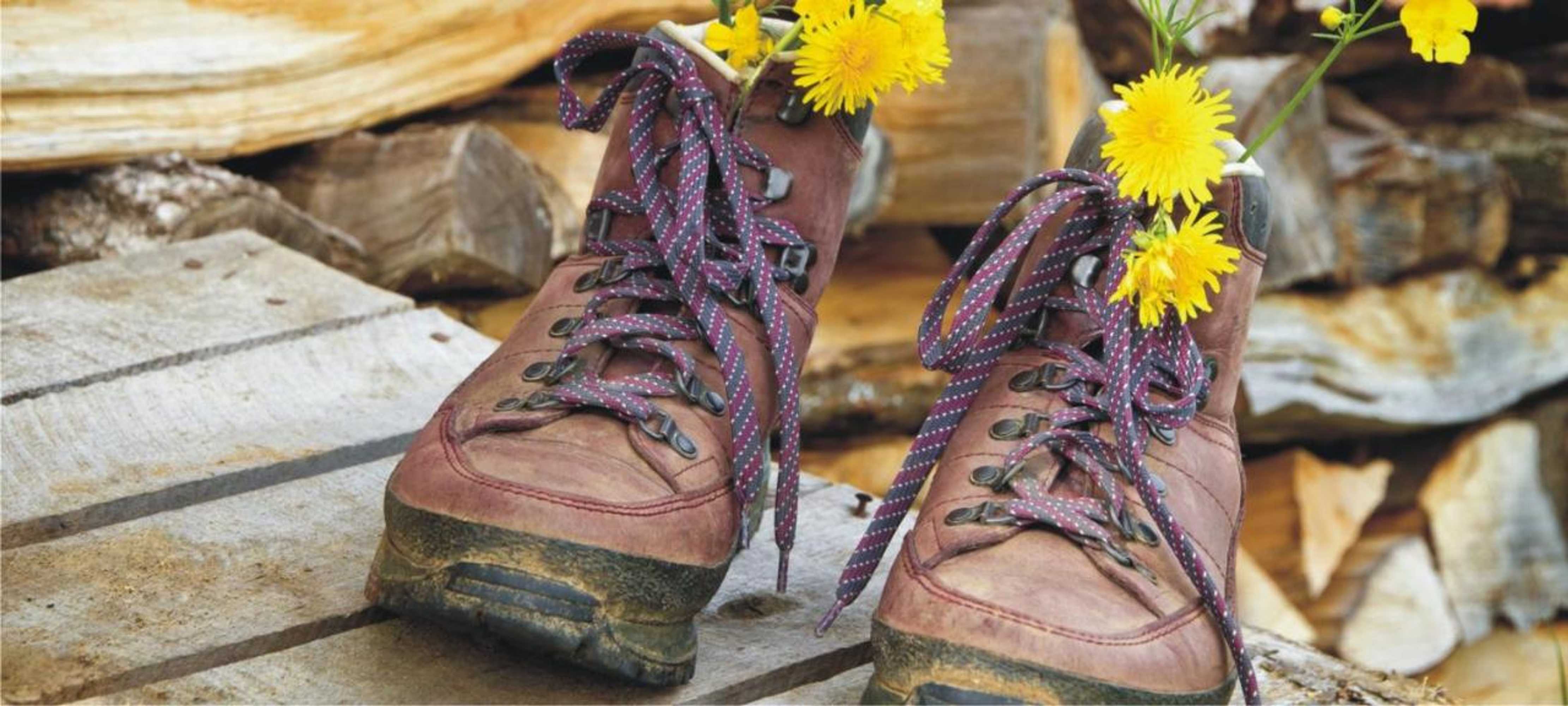 Gift card for Gästehaus Burgblick