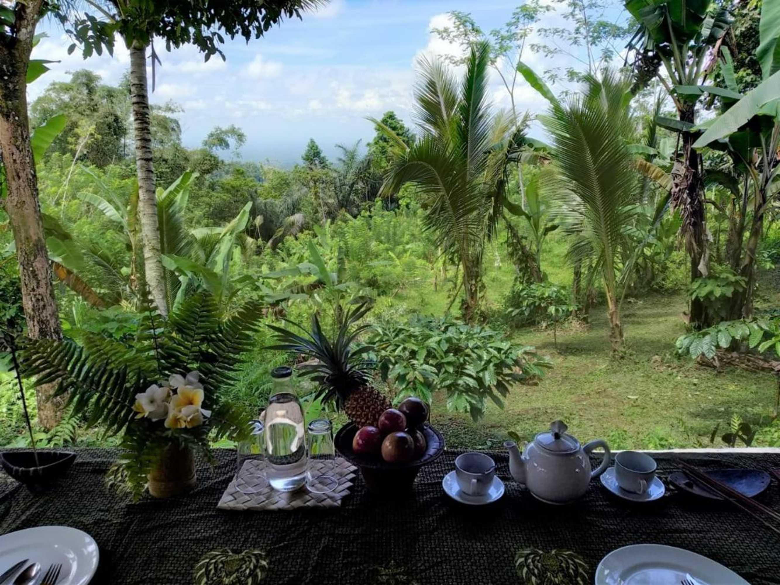 Gift card for Bali Mountain Forest Cabin