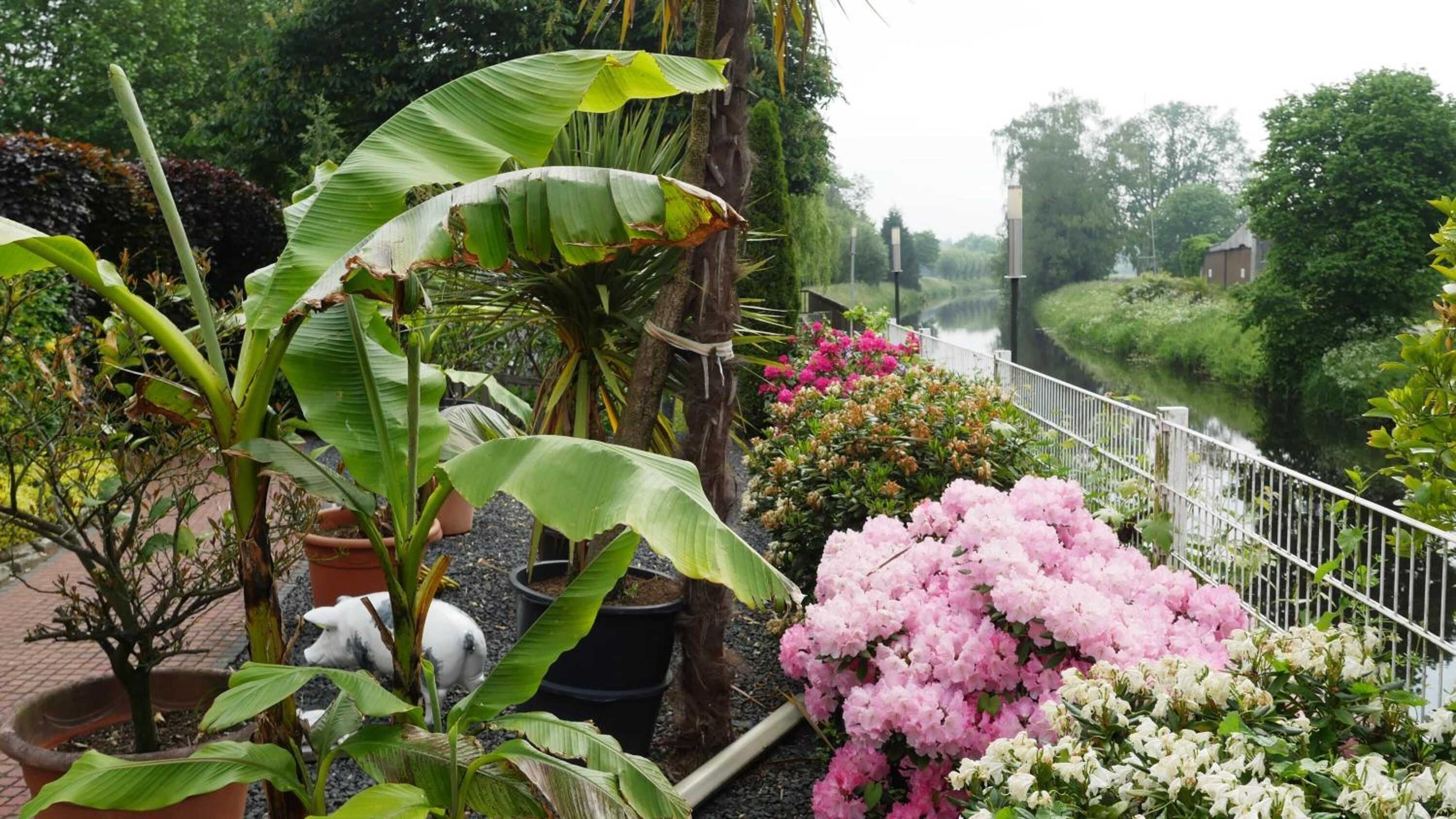 Gift card for Hotel Krasemann