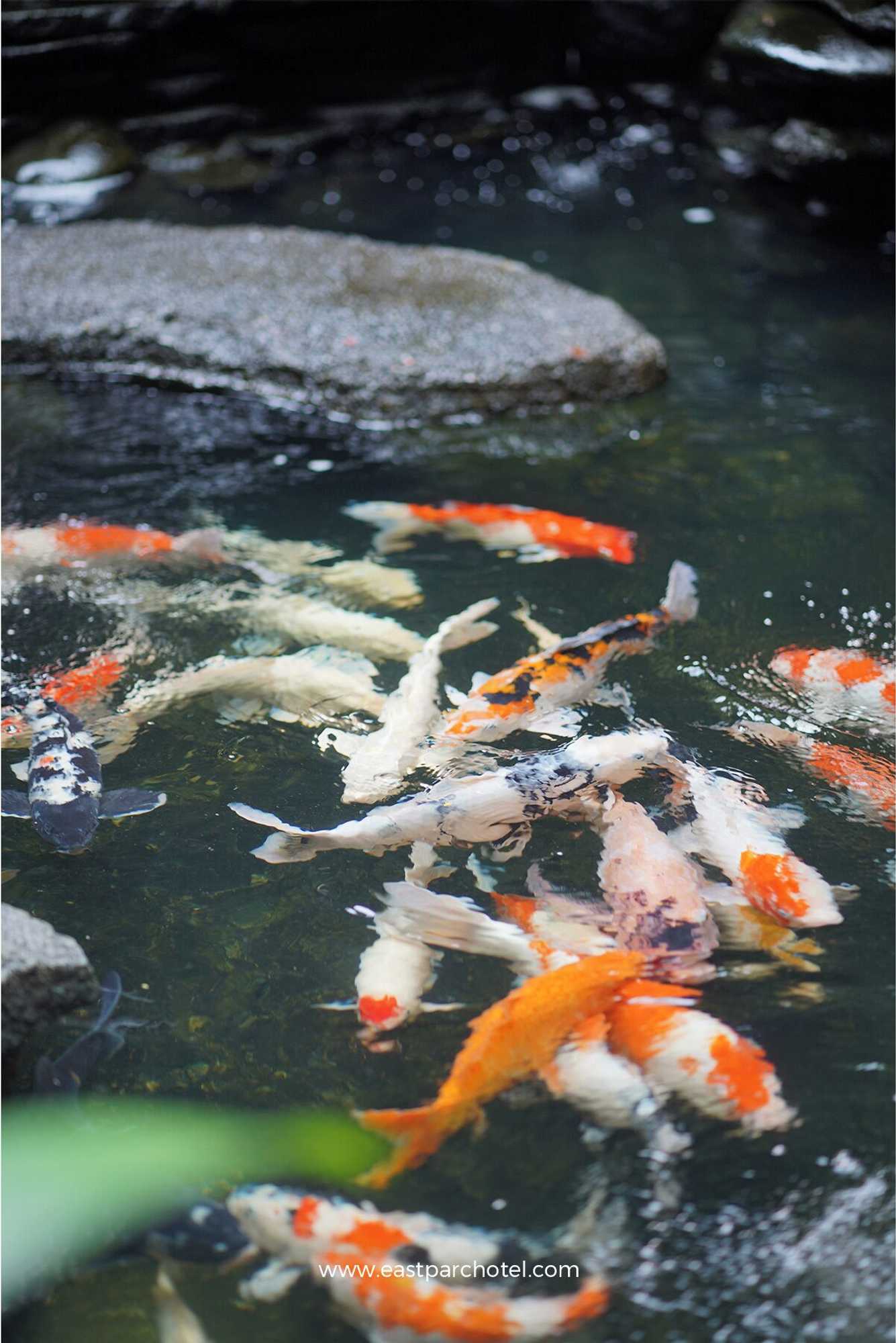 Gift card for Eastparc Hotel