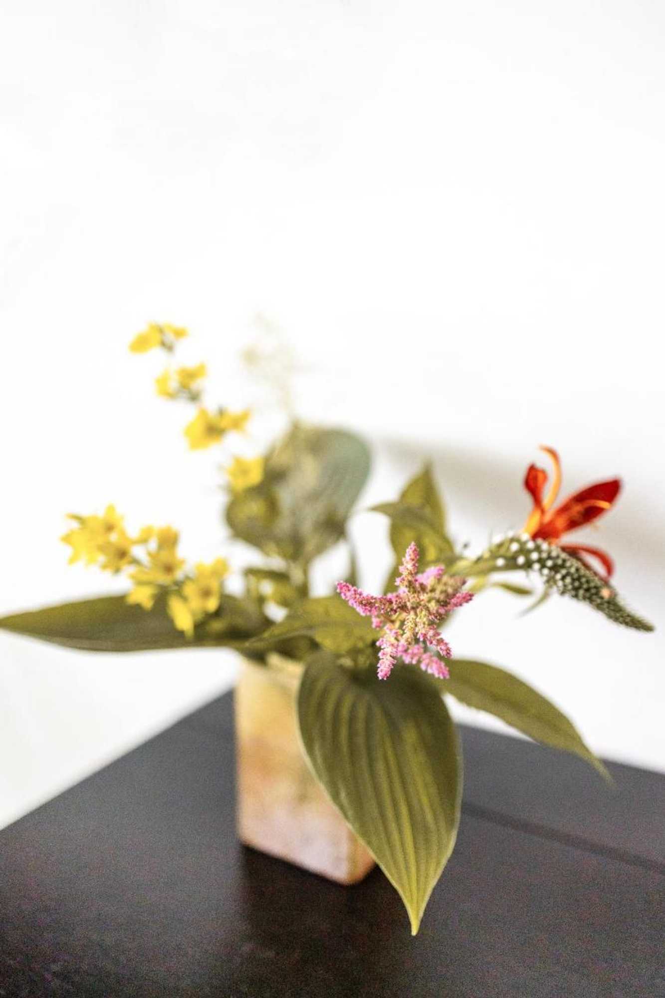 Gift card for Bed & Breakfast Avellano