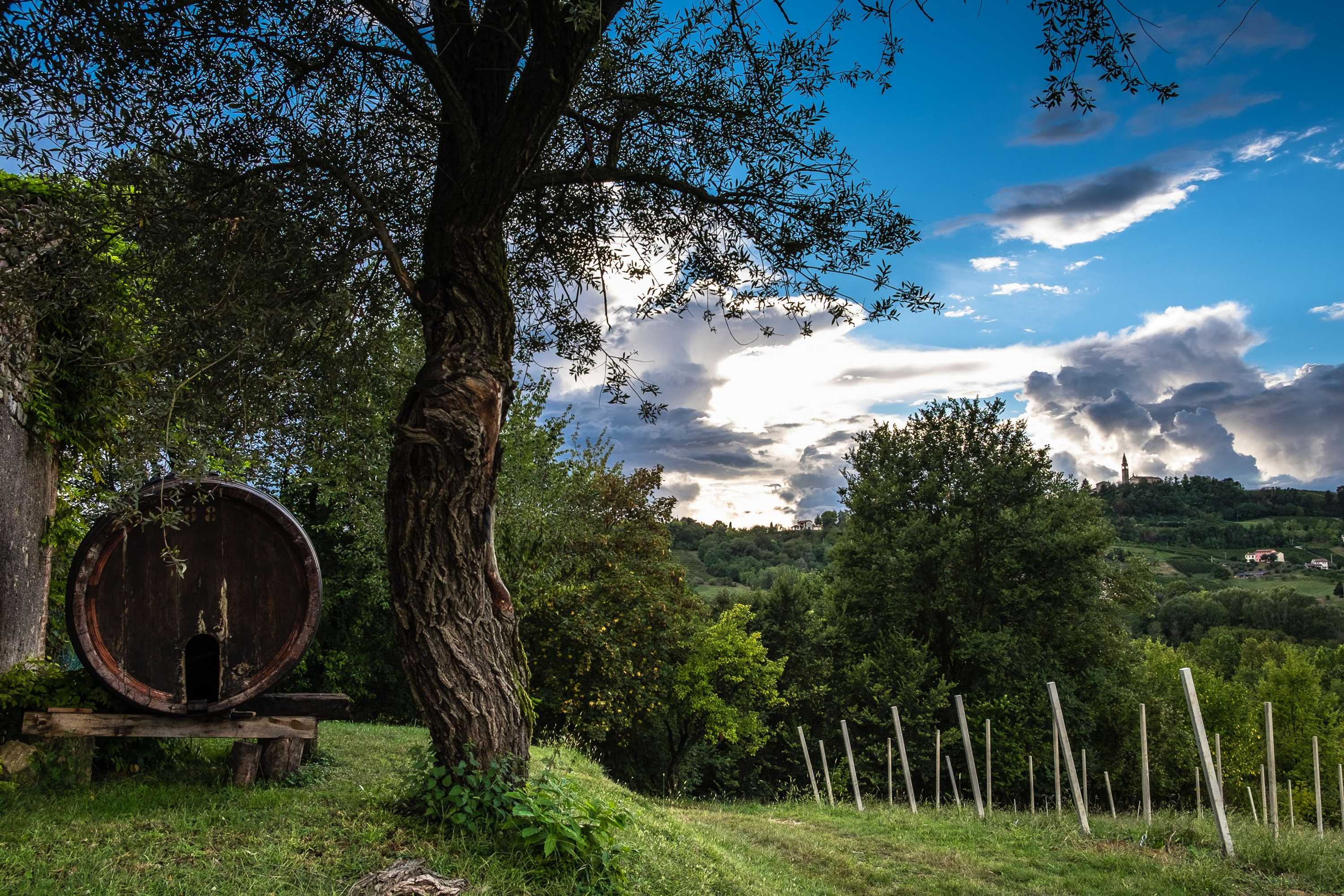 Gift card for Agriturismo Le Spezie Gift card for Agriturismo Le Spezie