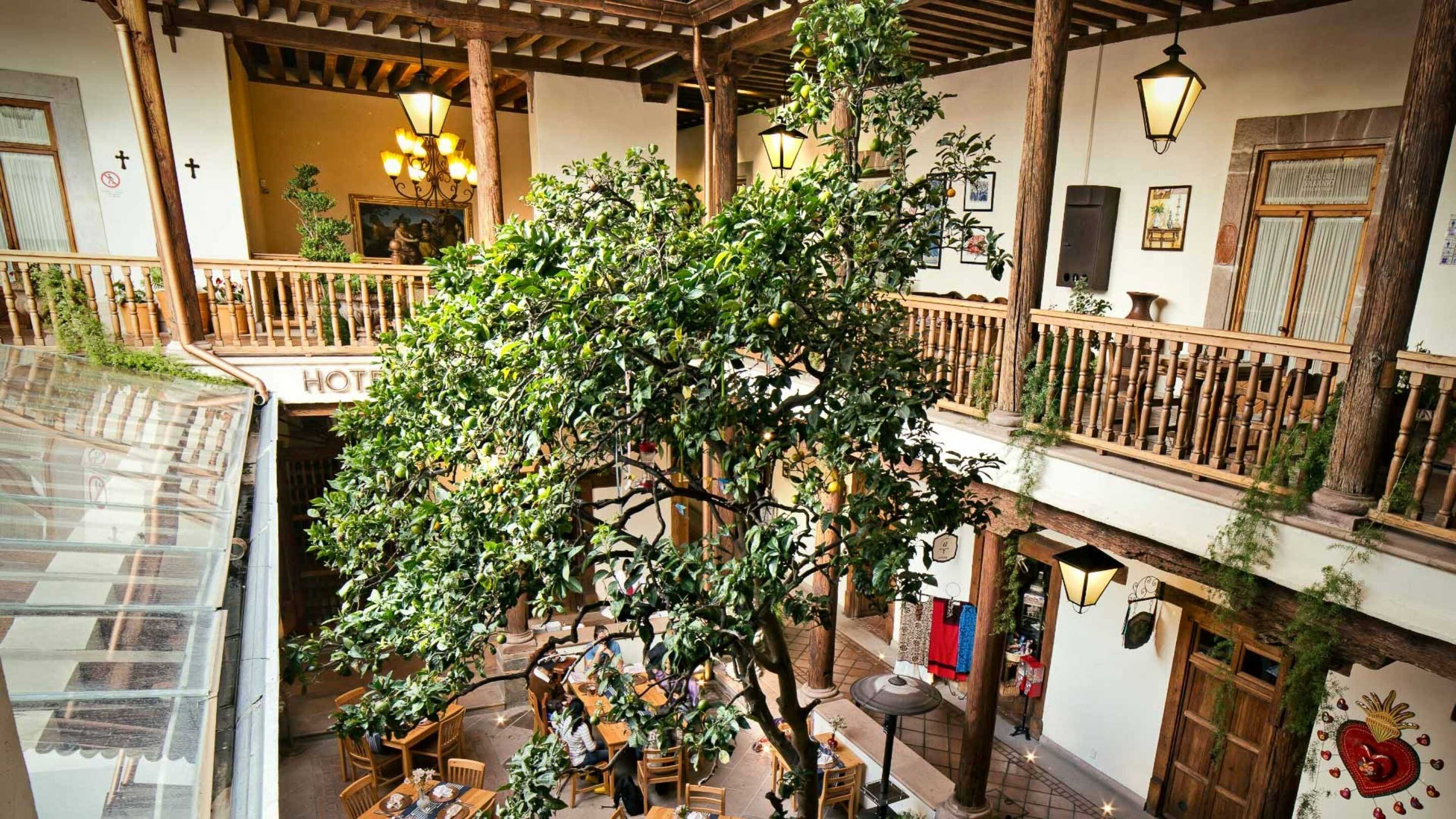 Gift card for Hotel Casa Del Naranjo Gift card for Hotel Casa Del Naranjo