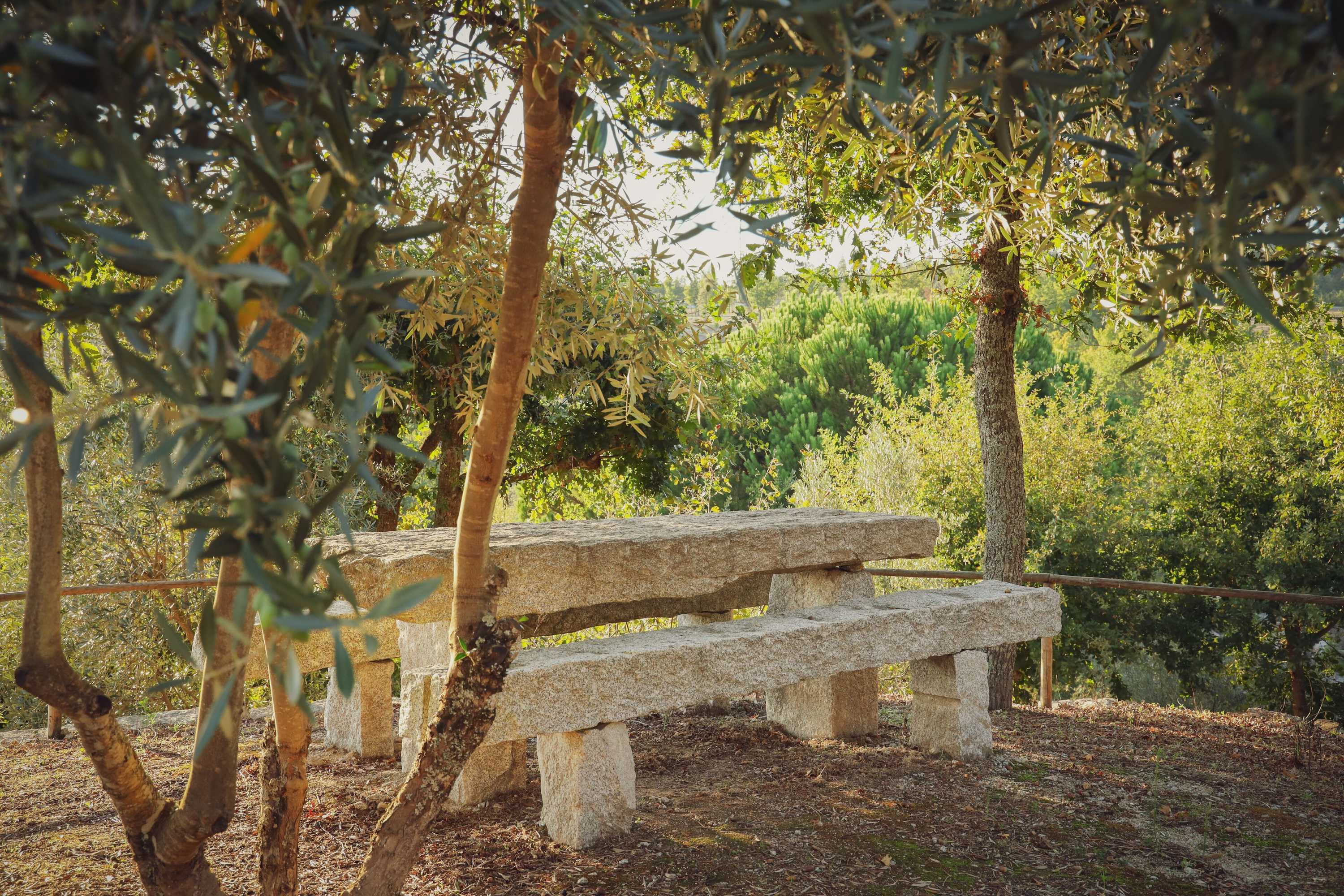 Gift card for I Love Dão - Casas Da Fraga