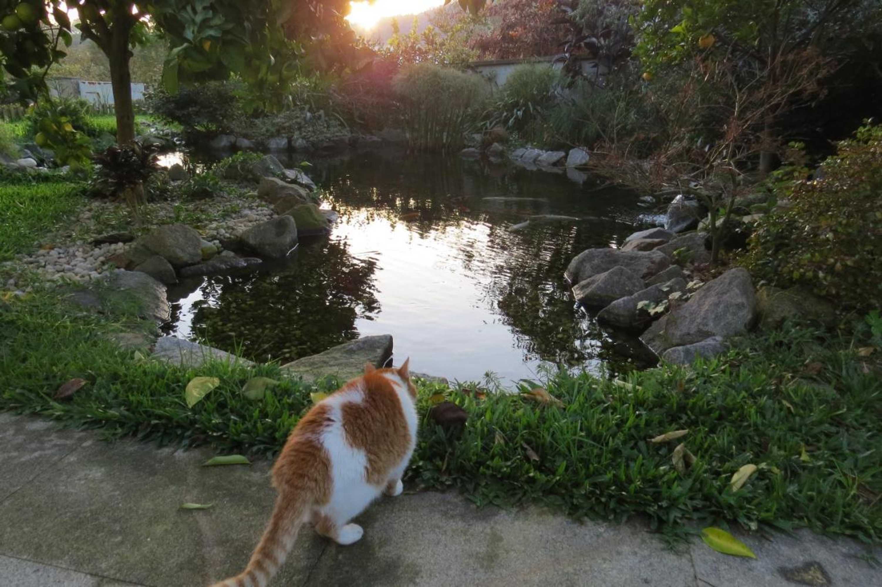 Gift card for Sweet Home Braga Hostel & Guest House Gift card for Sweet Home Braga Hostel & Guest House