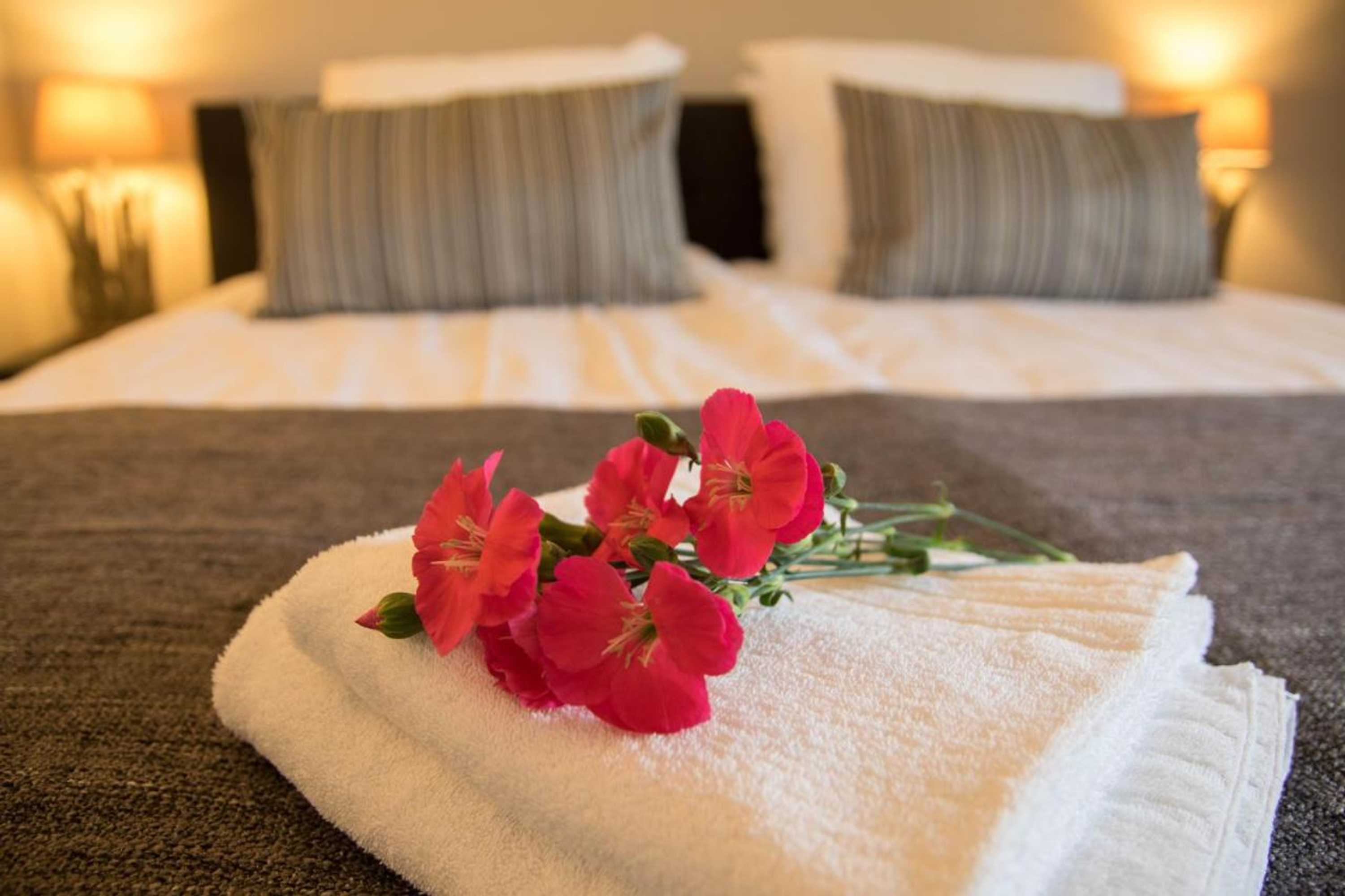 Gift card for Bed & Breakfast Bos en Weide