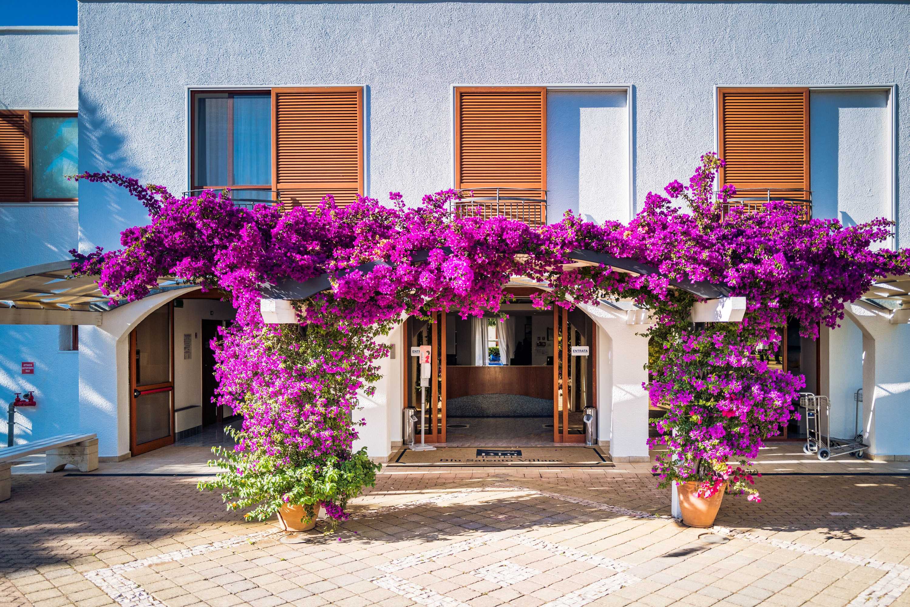 Gift card for Blu Salento Village Gift card for Blu Salento Village