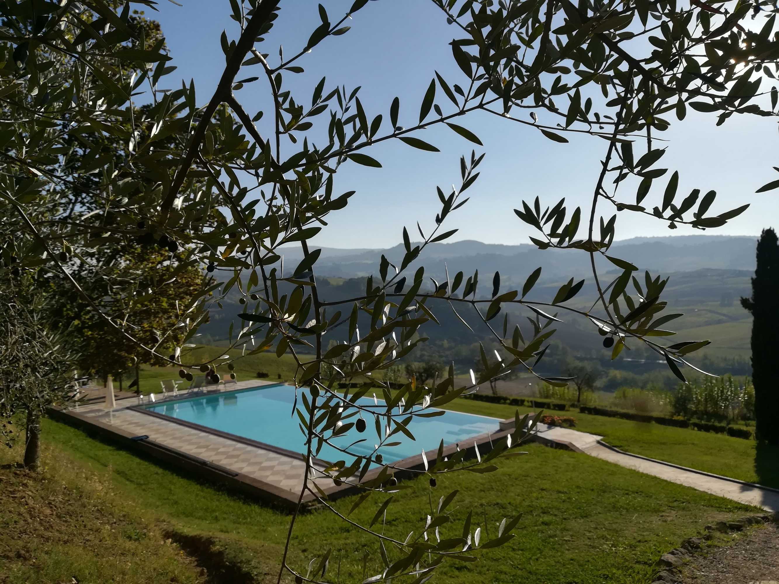 Gift card for Poderi Arcangelo Gift card for Poderi Arcangelo