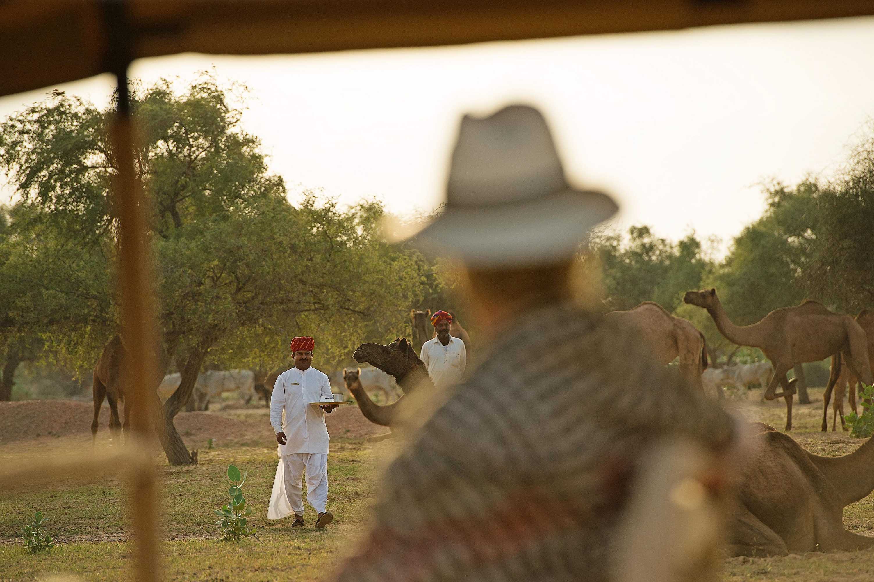 Gift card for Sujan The Serai, Jaisalmer