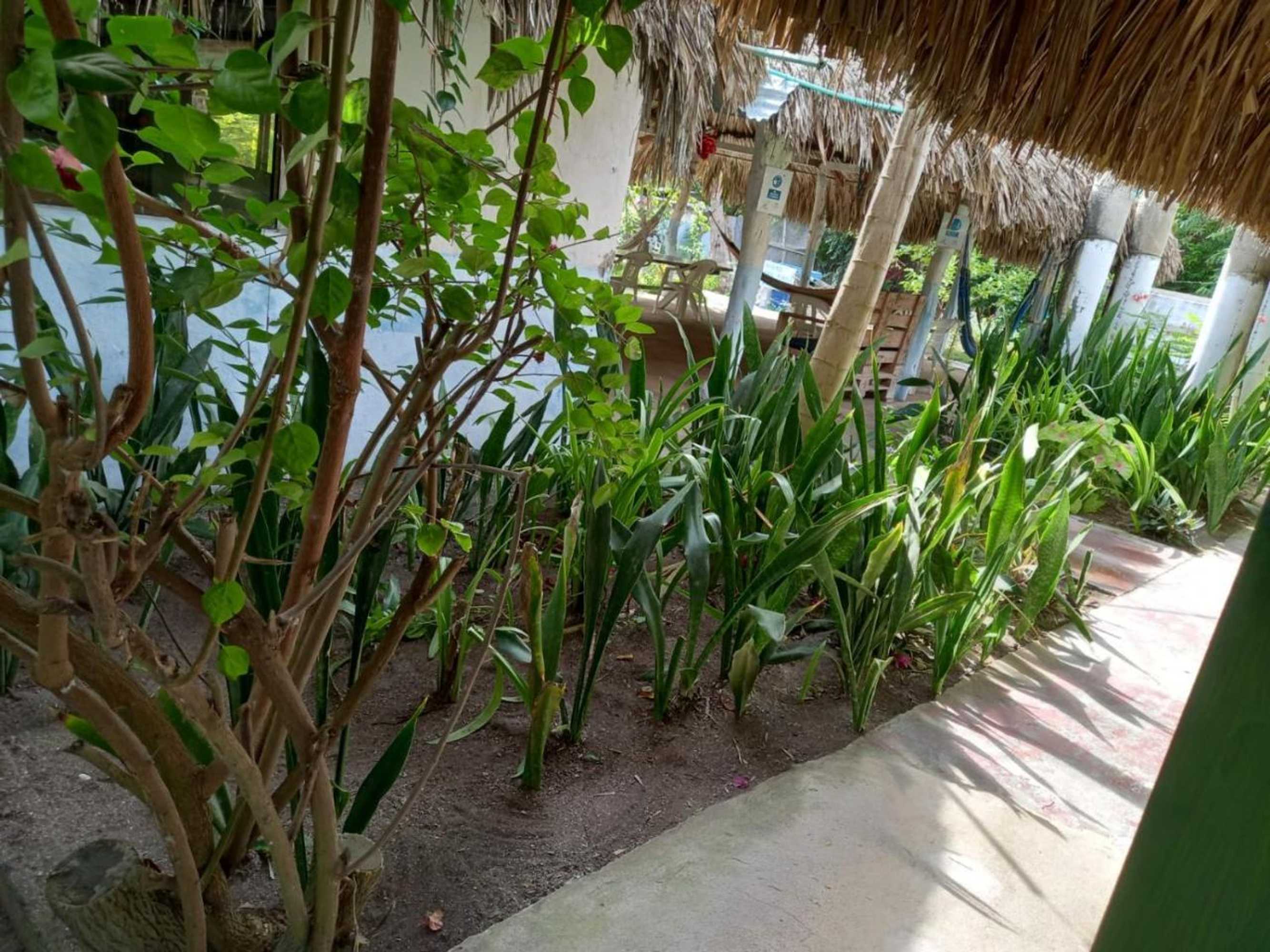 Gift card for Ecohouse Las Flores