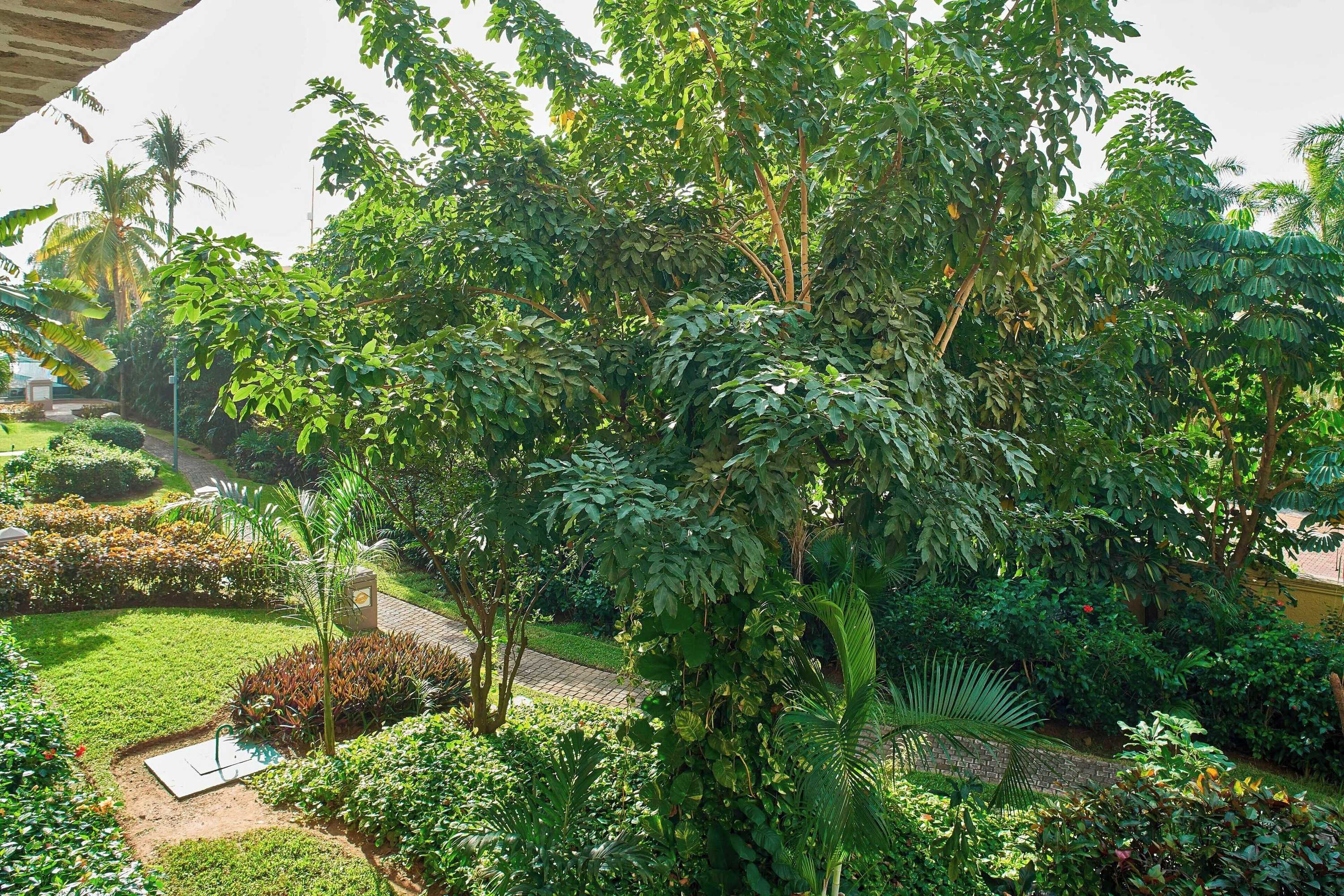 Gift card for Marriott Puerto Vallarta Resort & Spa Gift card for Marriott Puerto Vallarta Resort & Spa