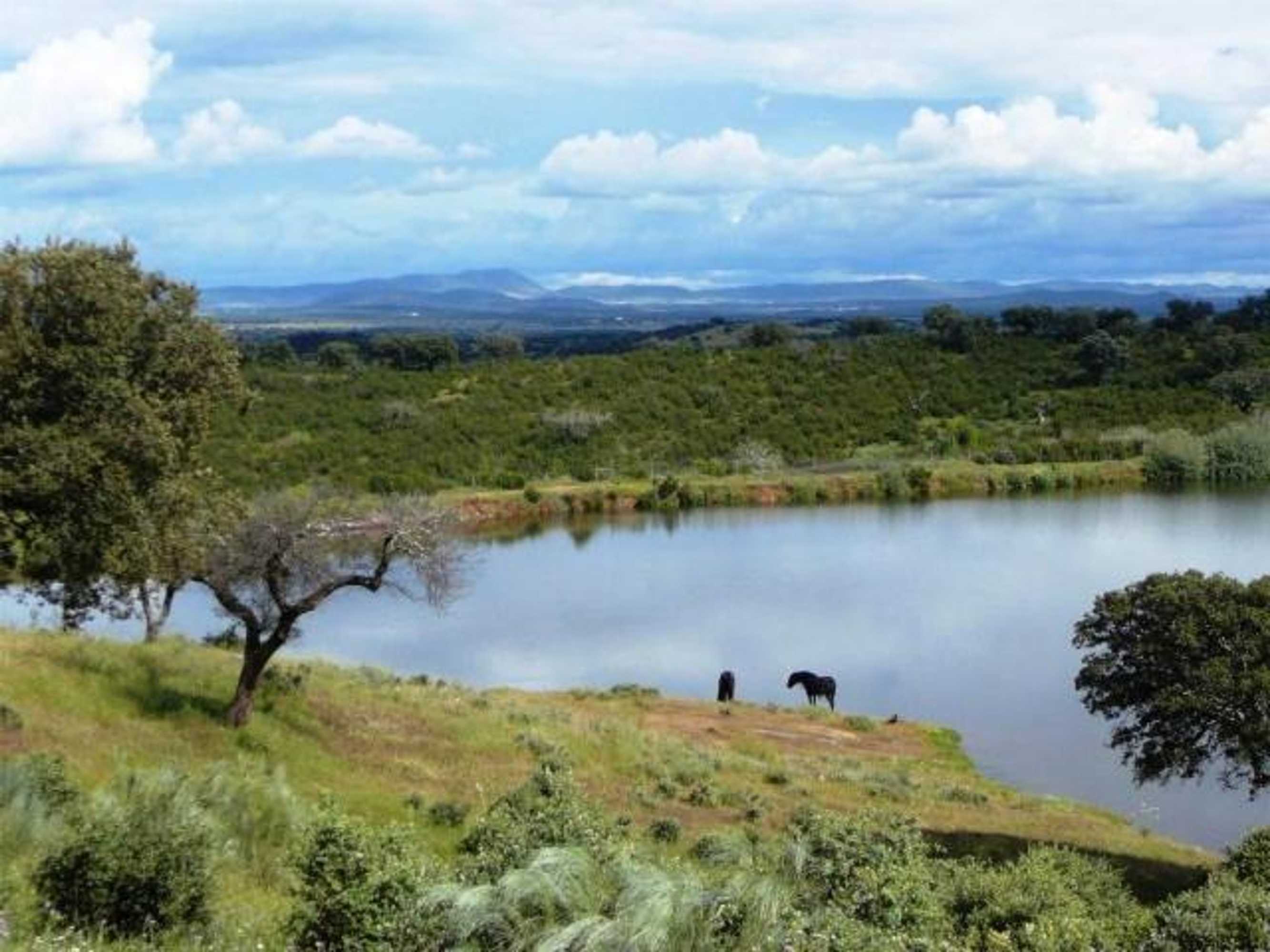 Gift card for Naveterra-Hotel Rural