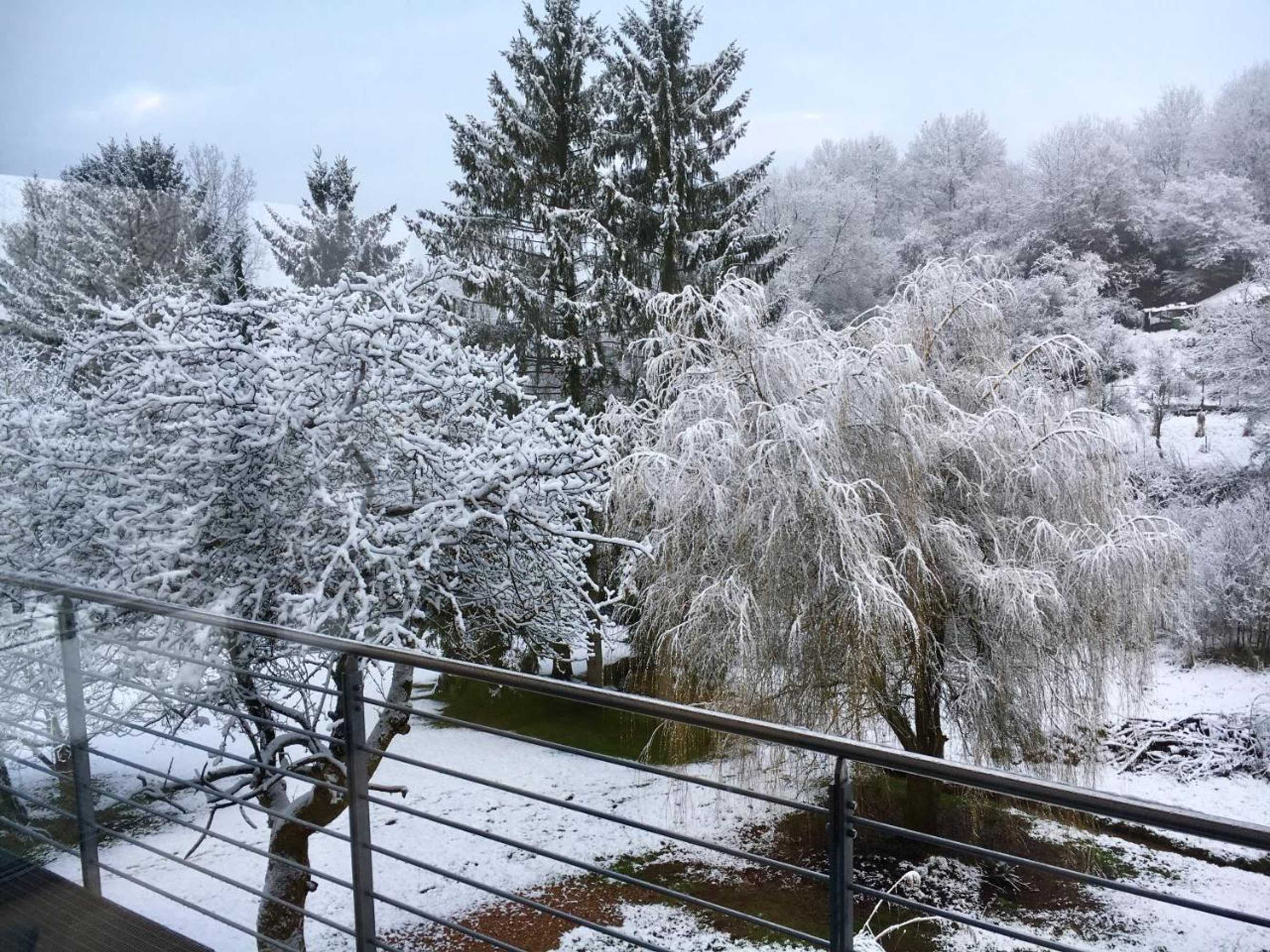 Gift card for Ferienhaus Haagalm