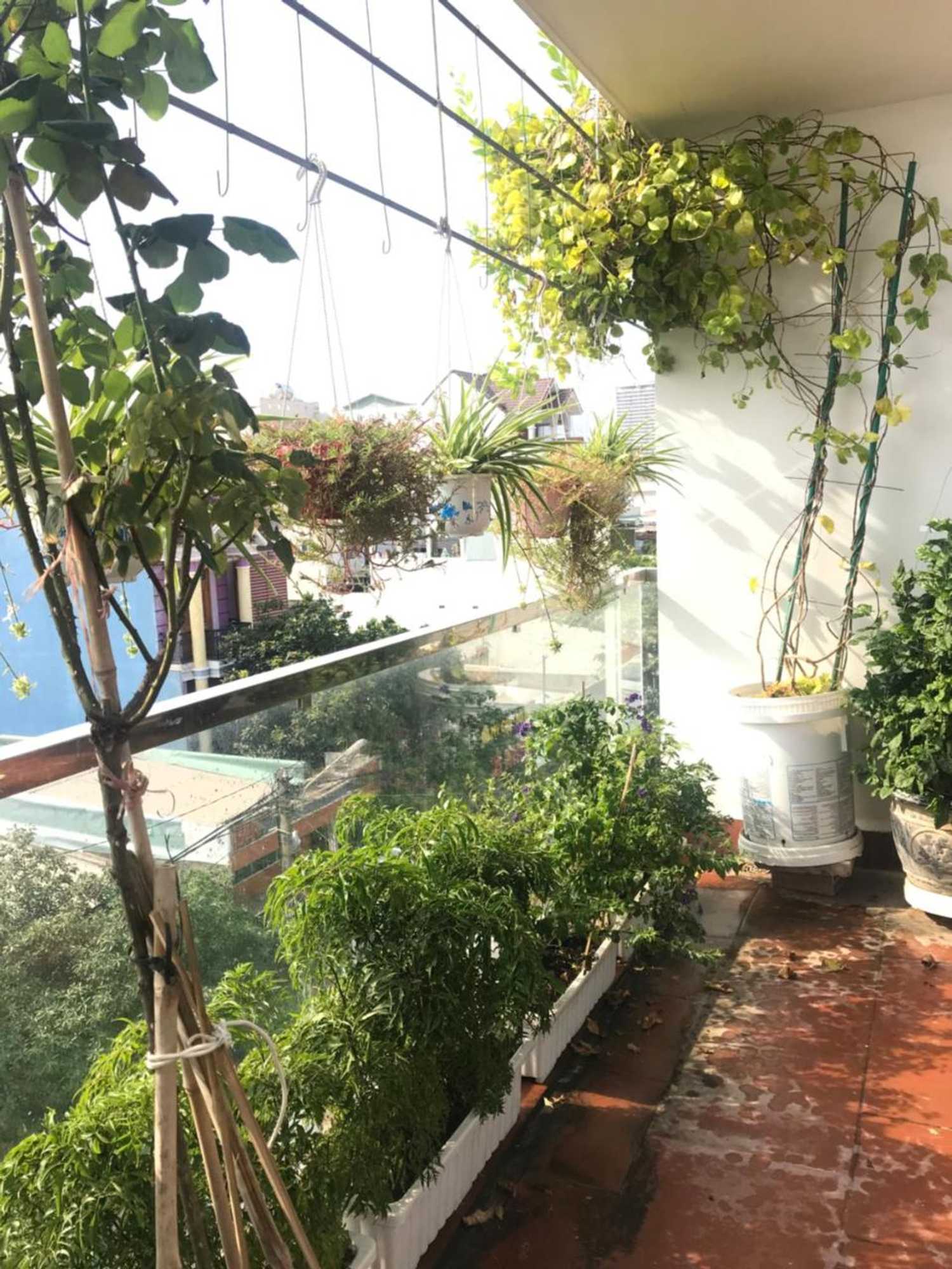 Gift card for Xam House Hostel